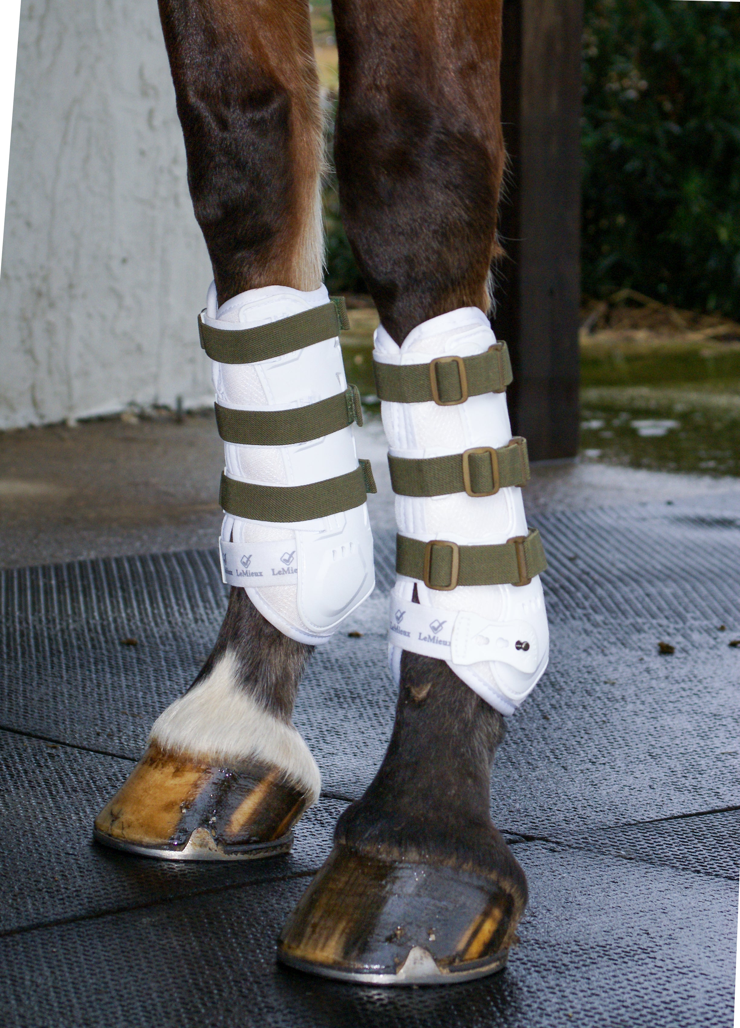 Sportflex Adjustable Straps