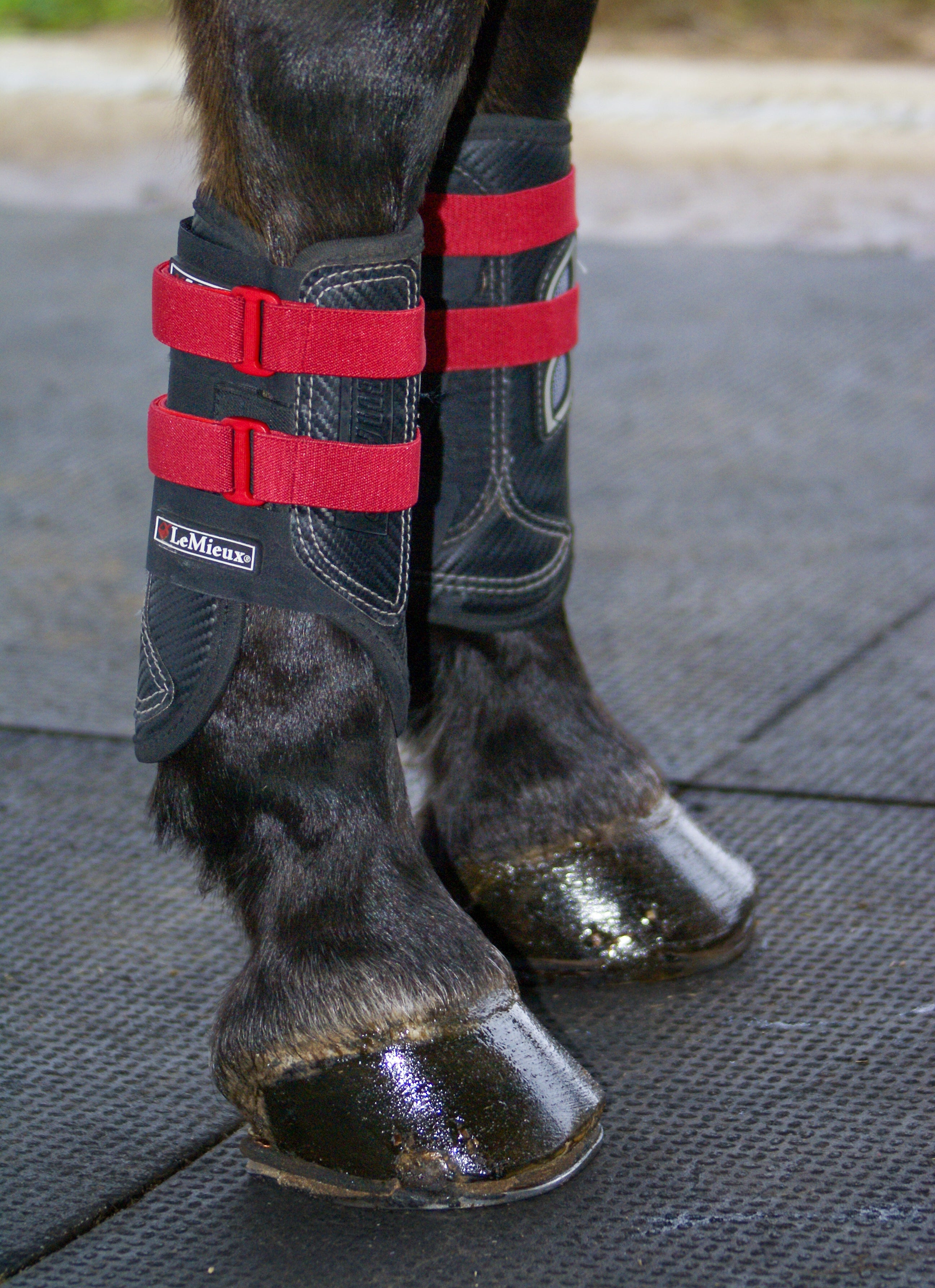 Sleekfit Adjustable Straps