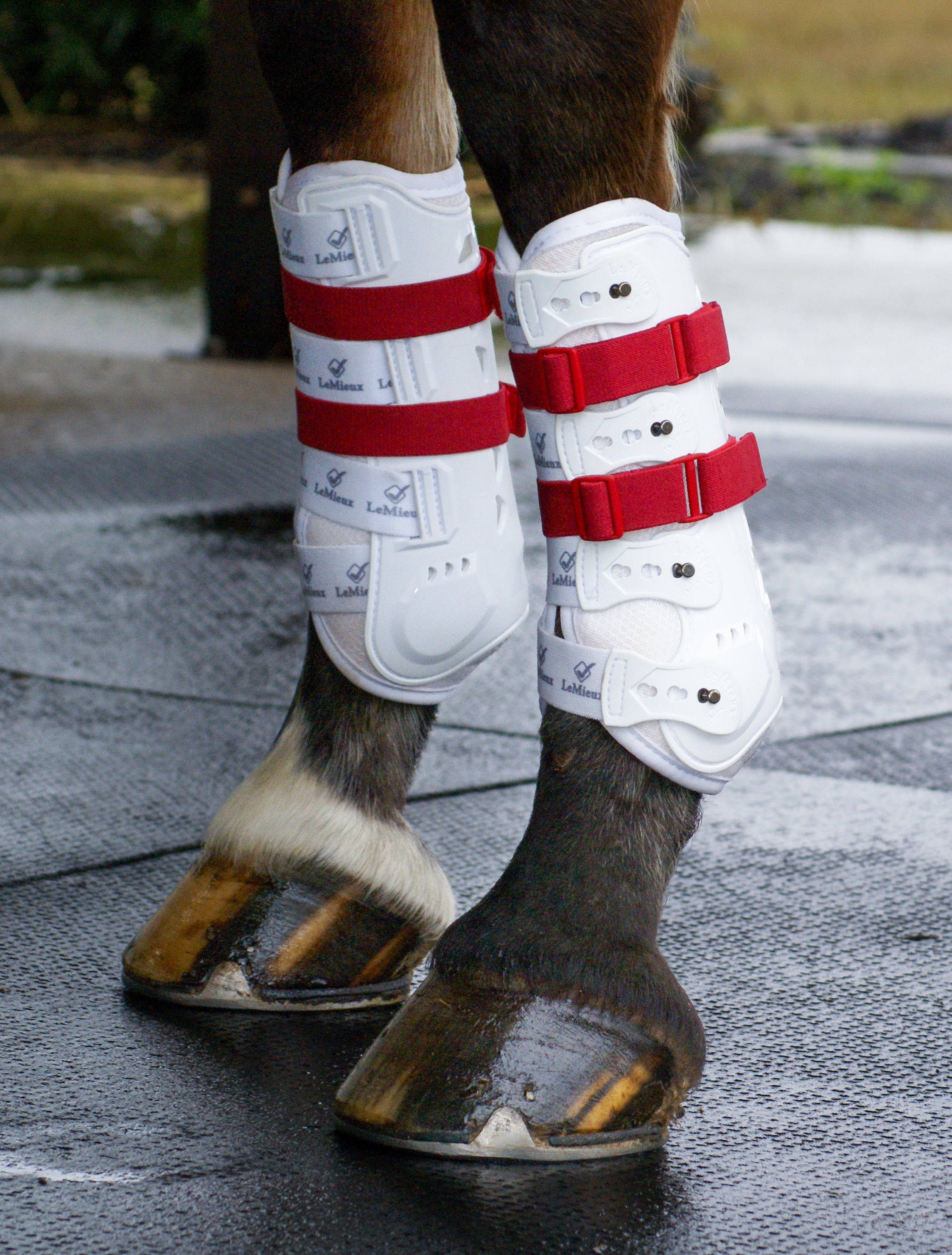 Sleekfit Adjustable Straps