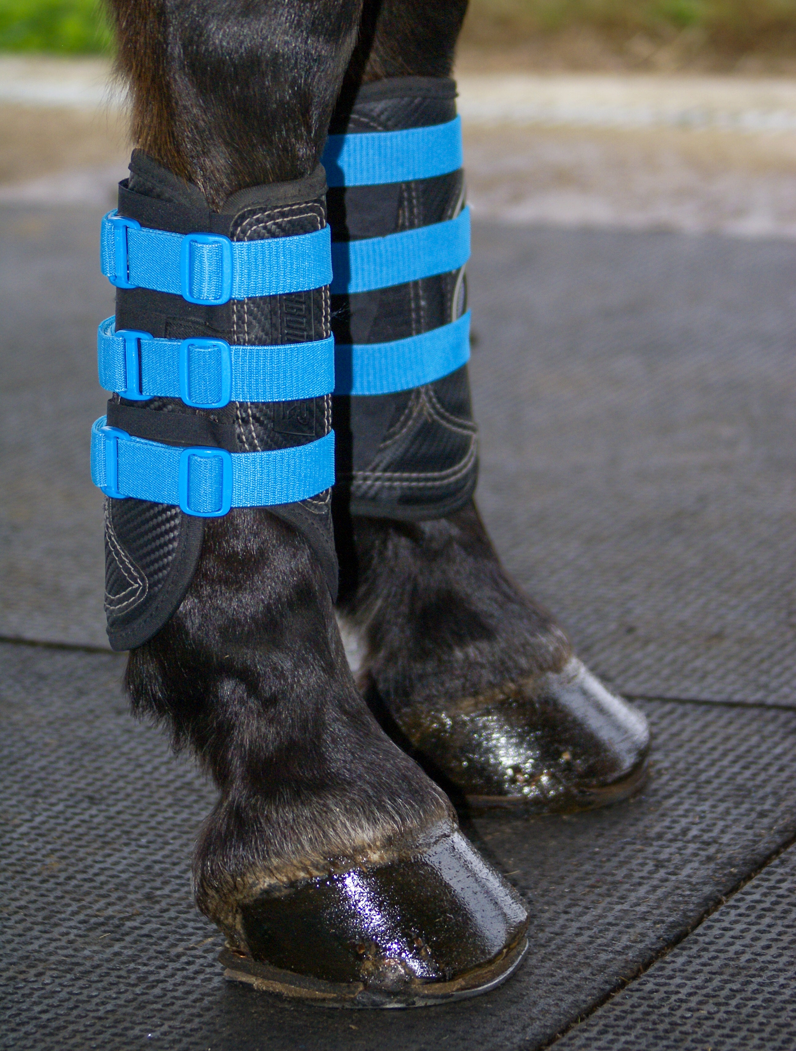 Sportflex Adjustable Straps