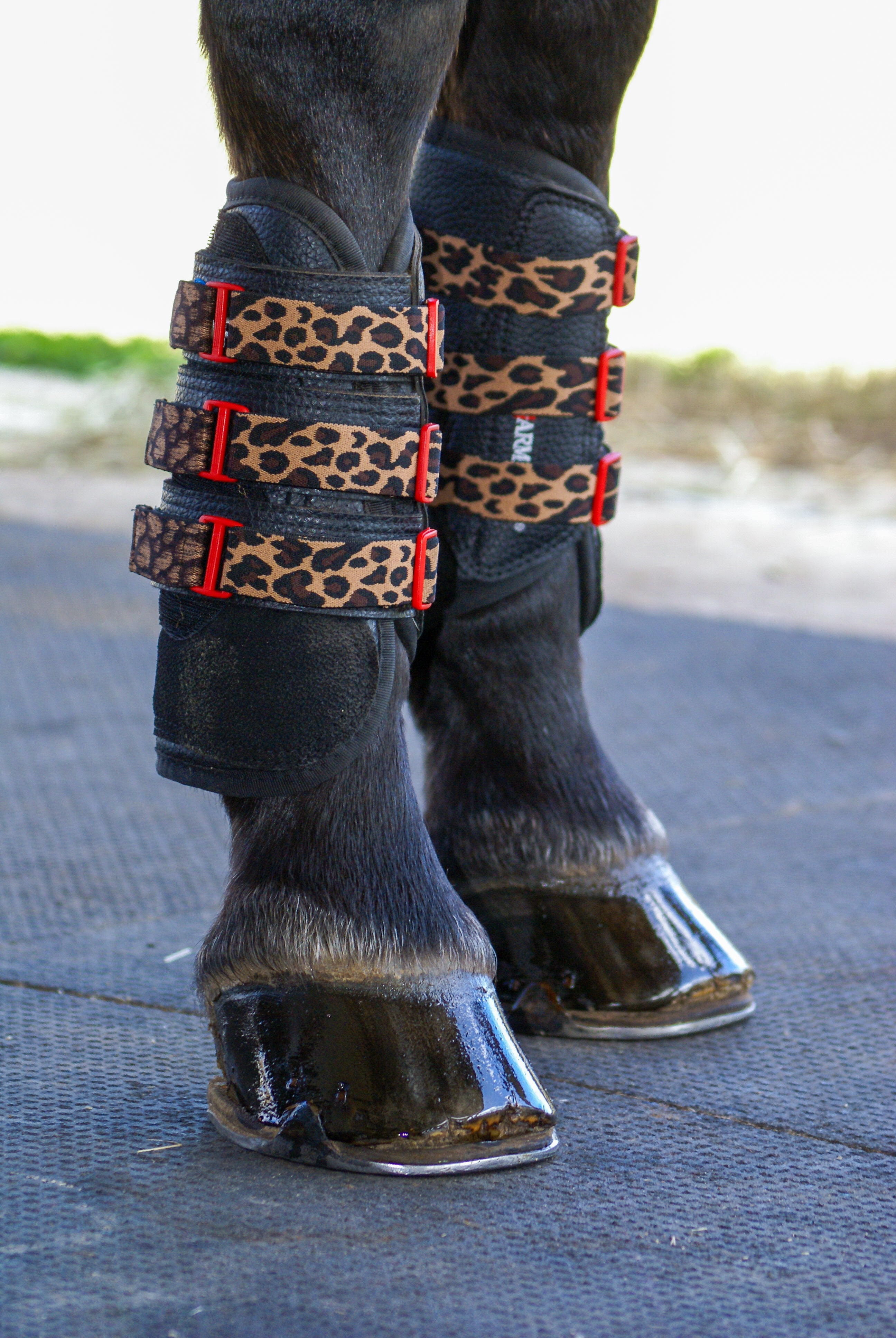 Custom Elastic Straps (12 Pack)