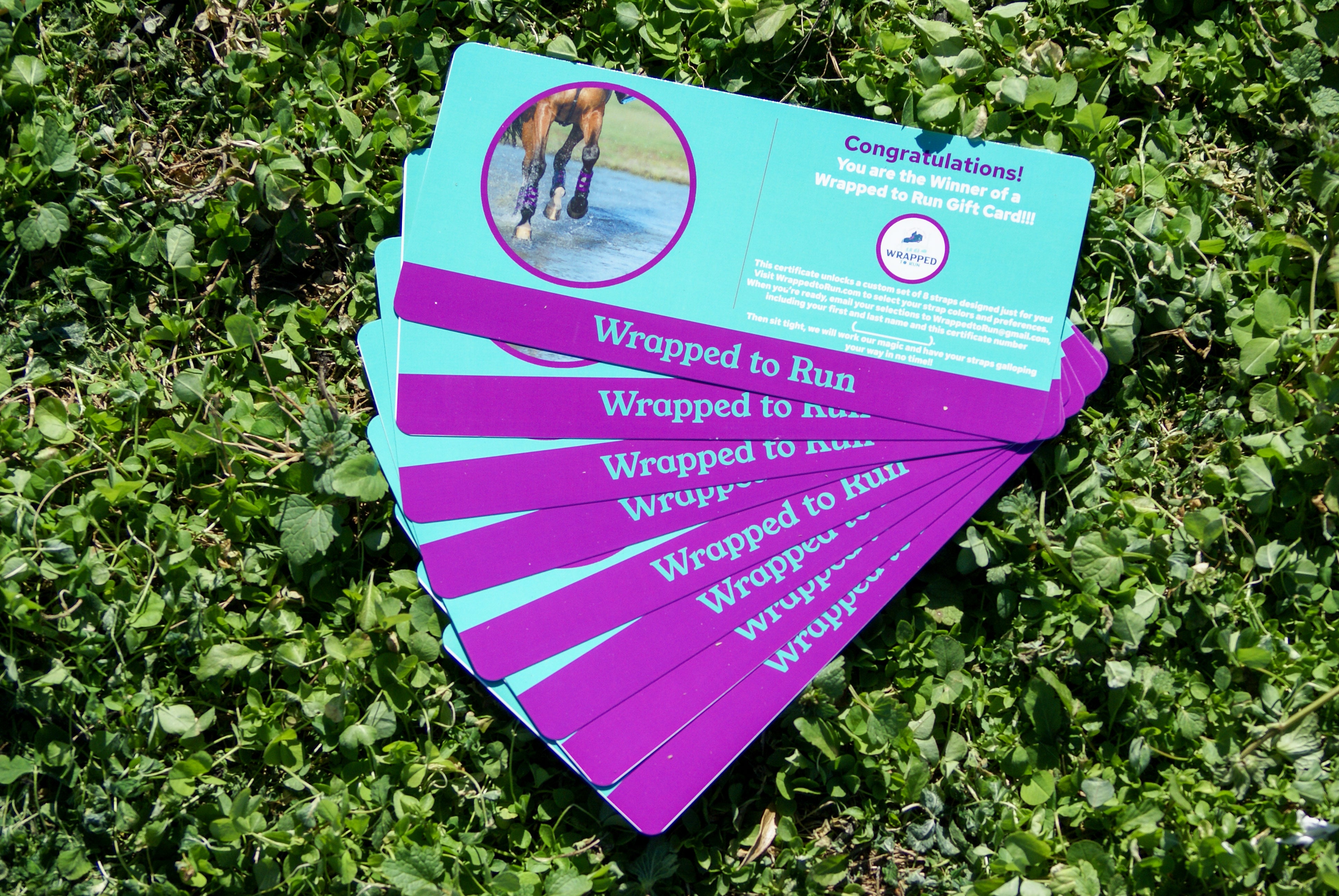 Wrapped to Run Gift Card