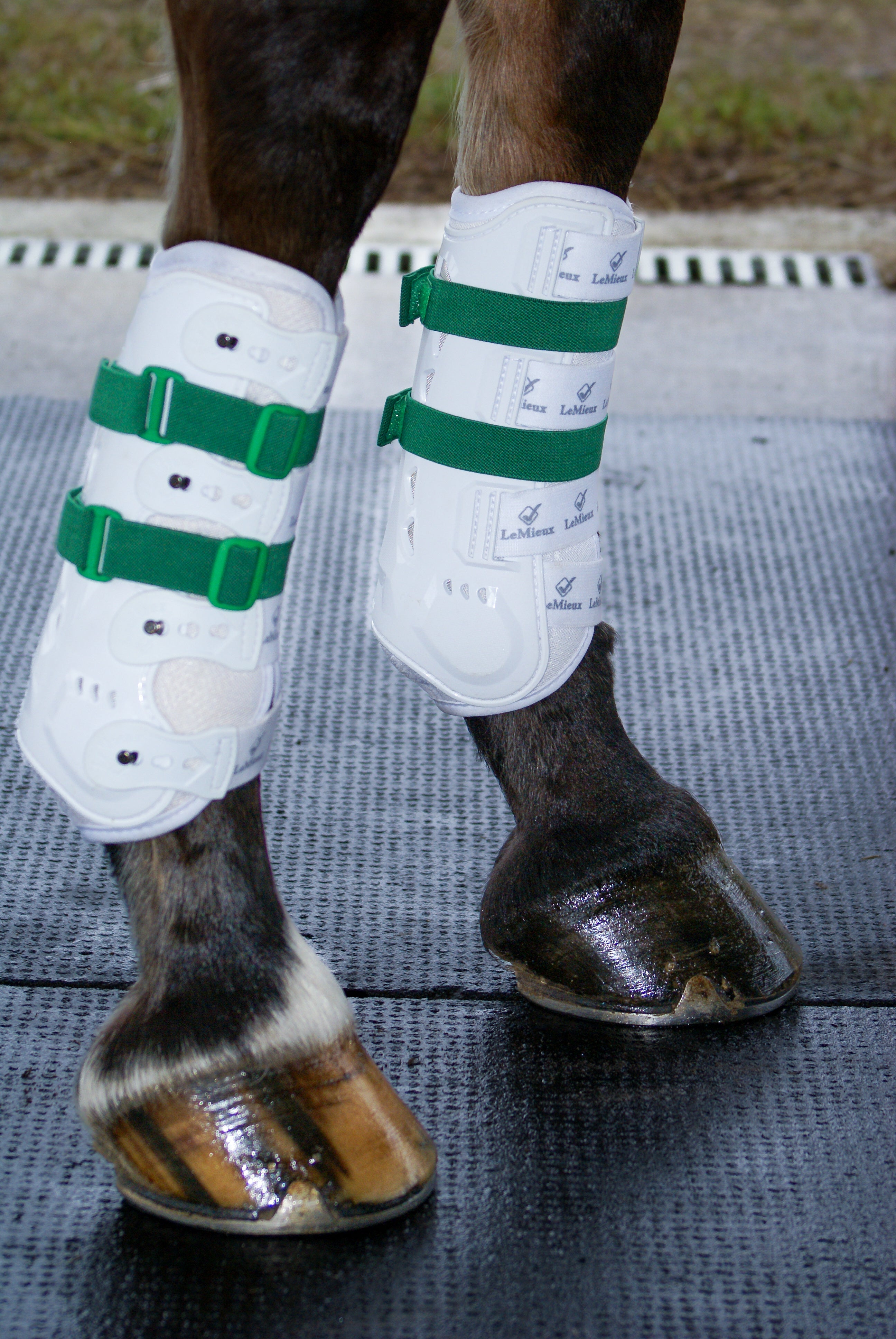 Sportflex Adjustable Straps