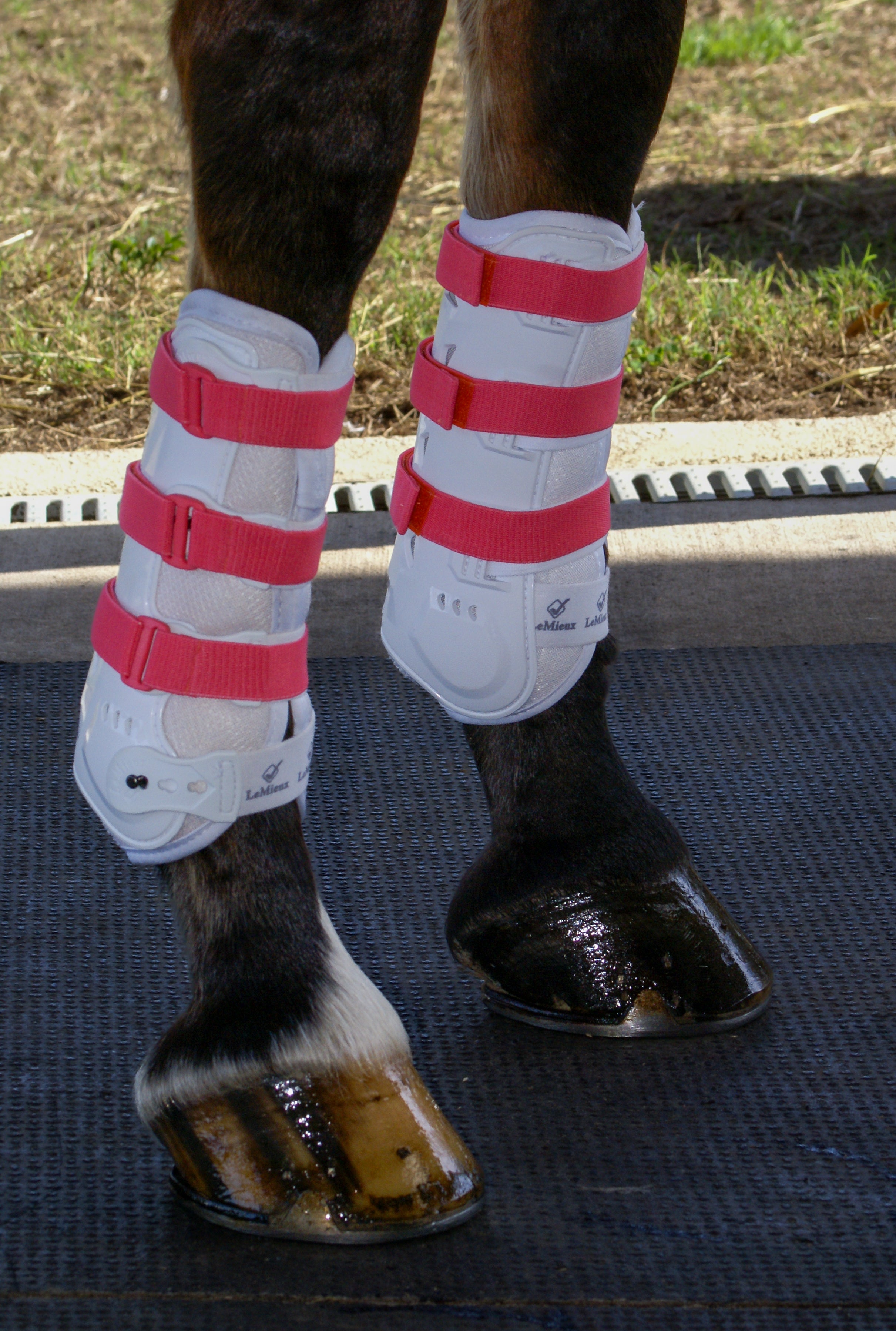 Sportflex Adjustable Straps