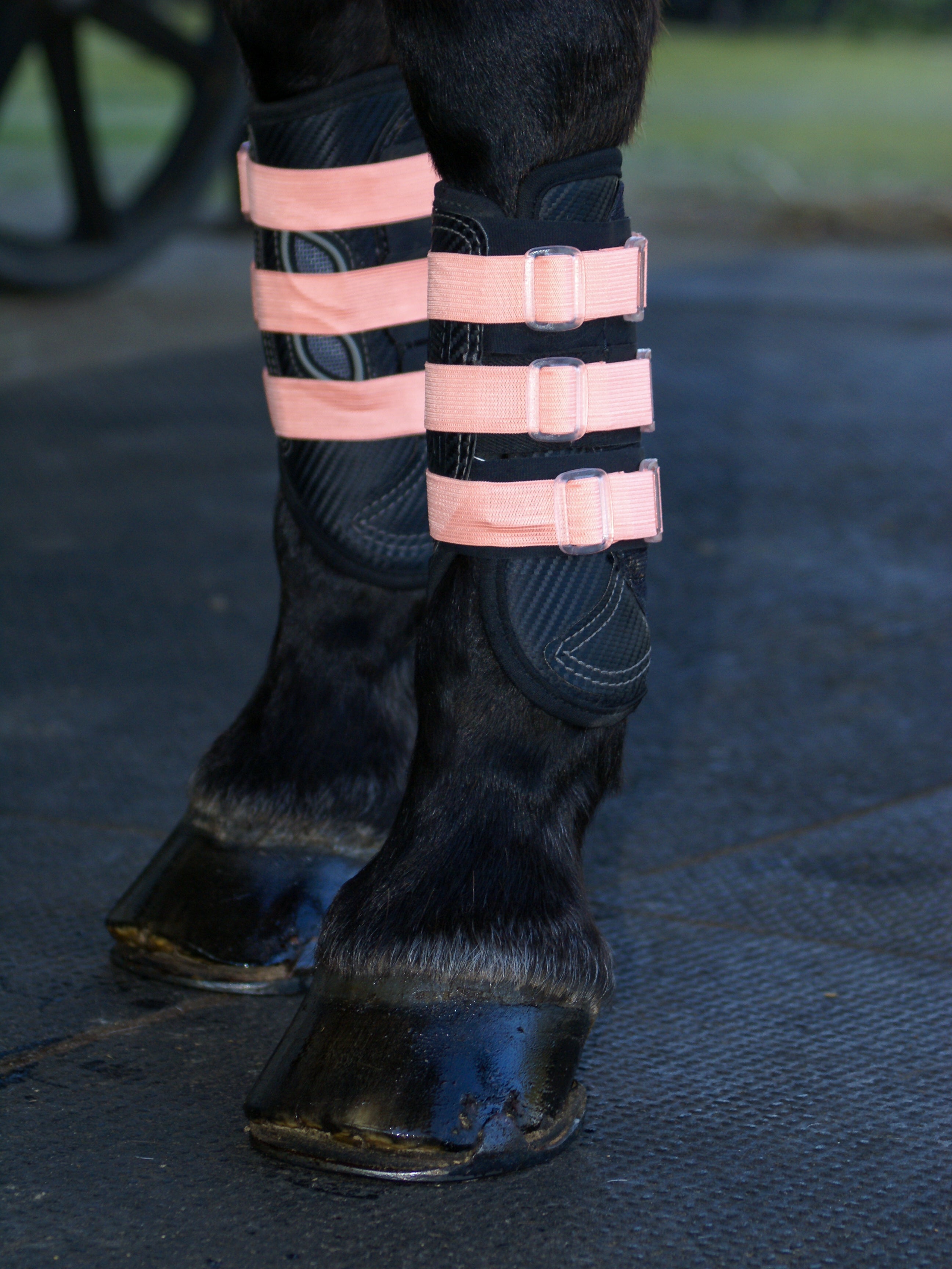 Sportflex Adjustable Straps