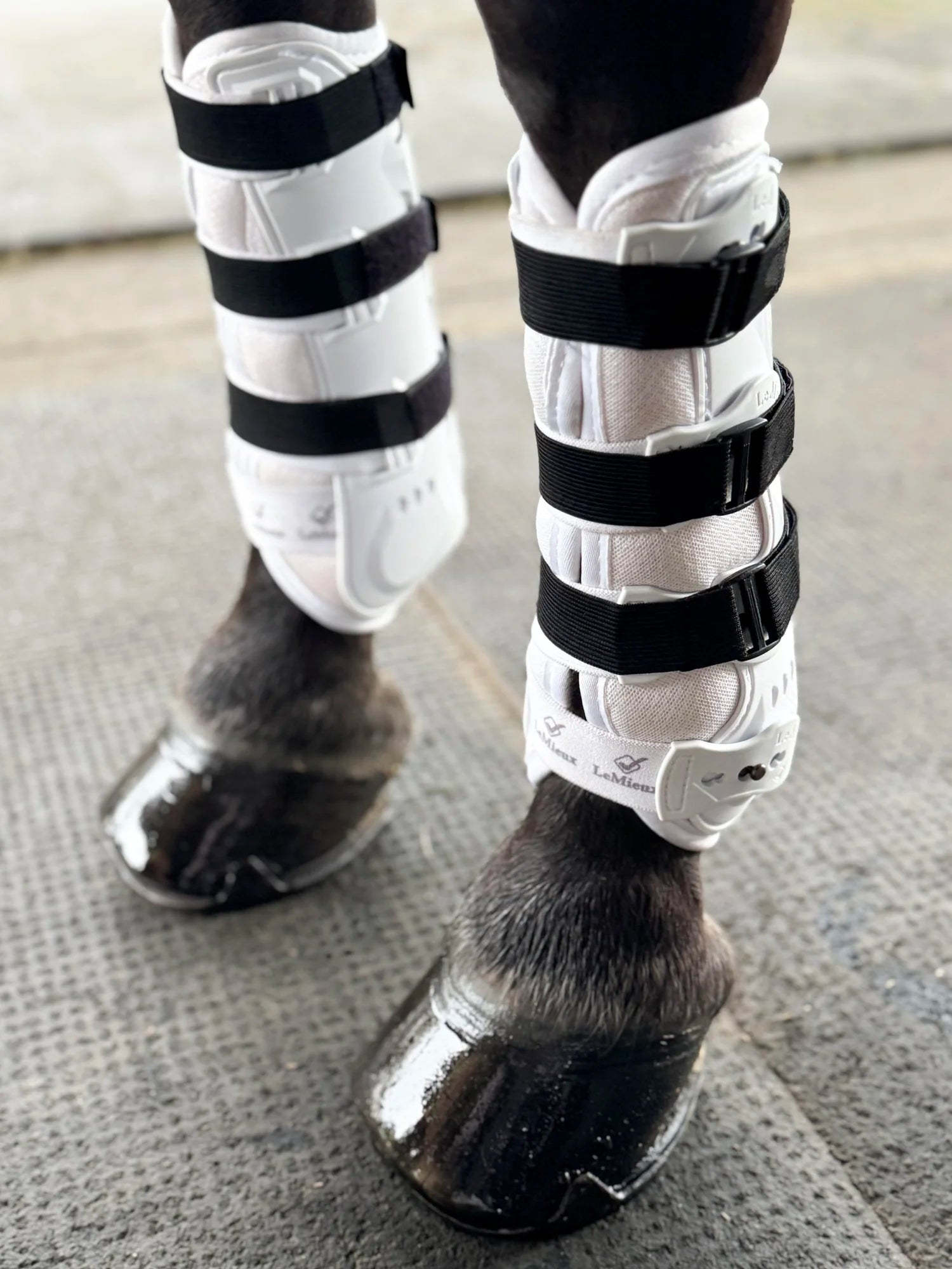 Sleekfit Adjustable Straps