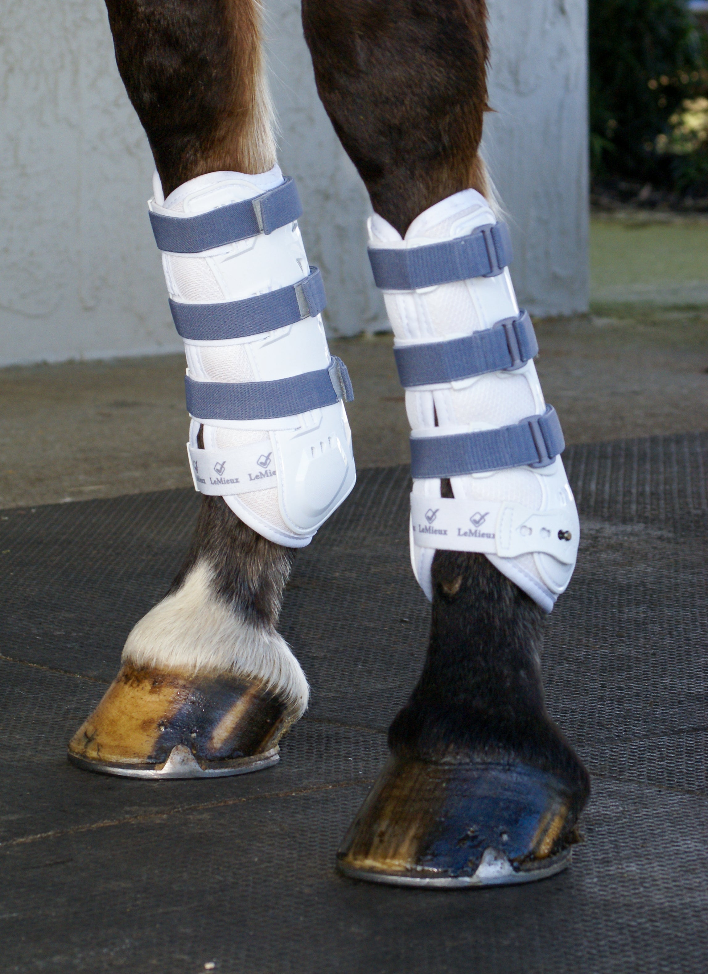 Sportflex Adjustable Straps