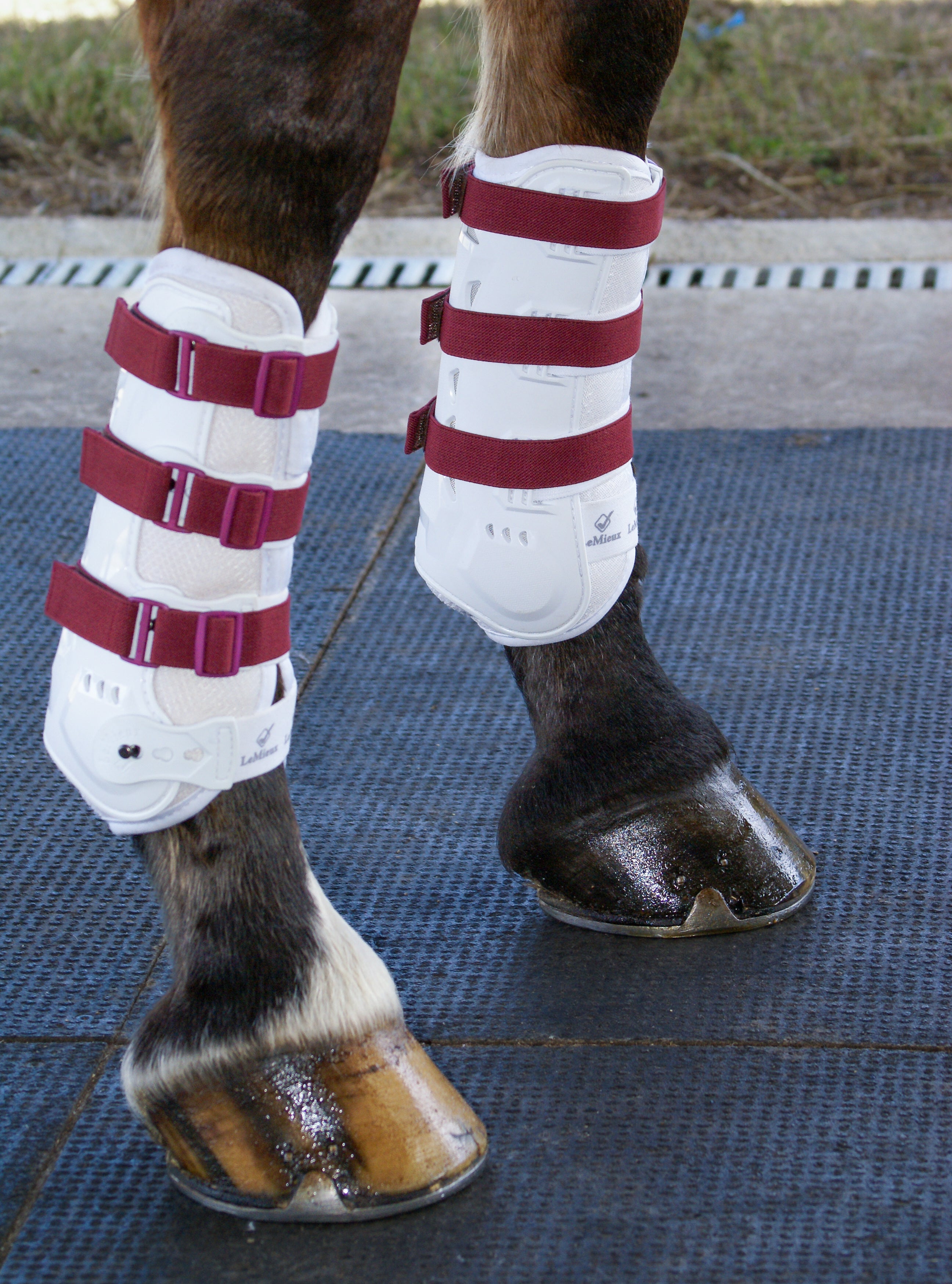 Sportflex Adjustable Straps