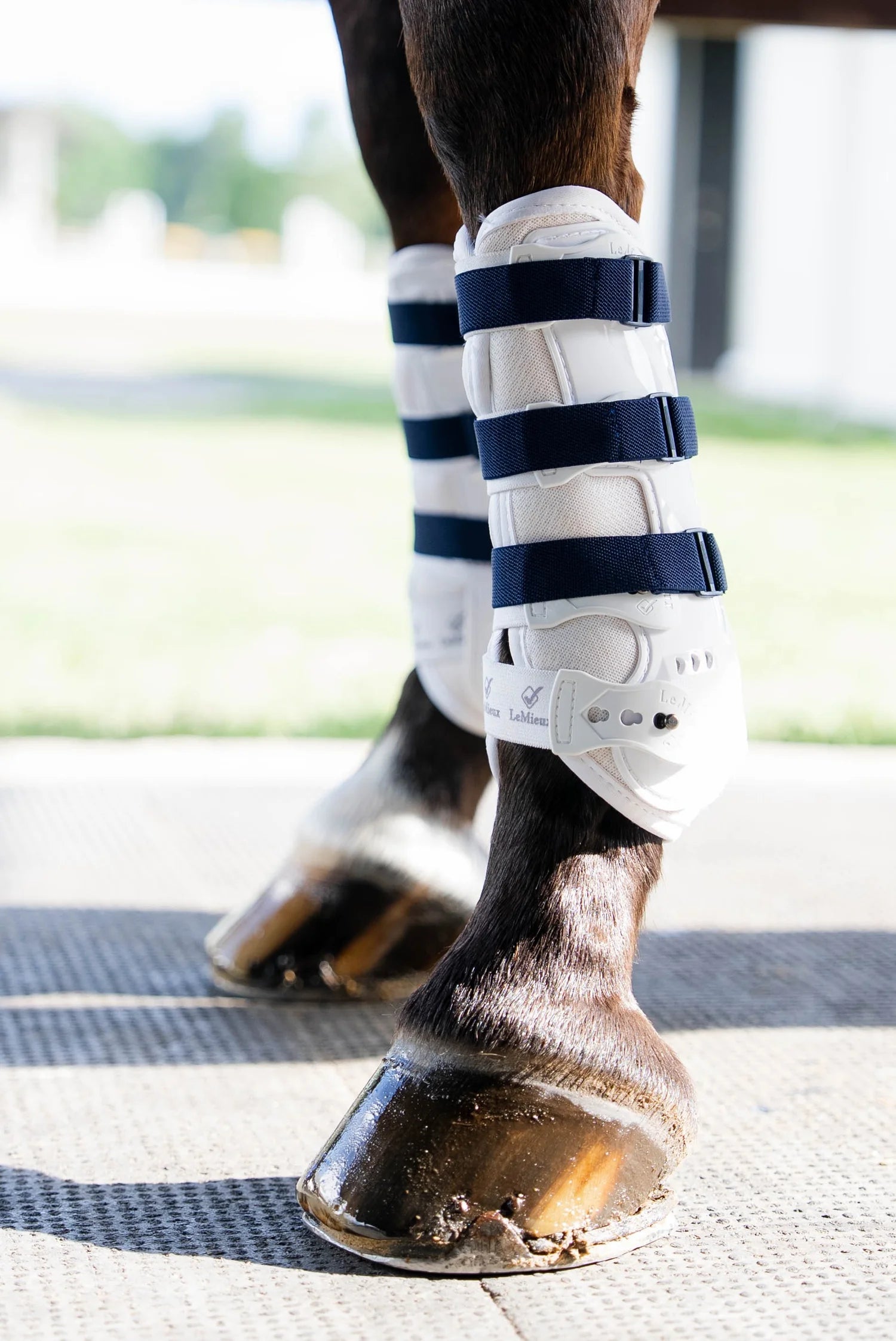 Sleekfit Adjustable Straps