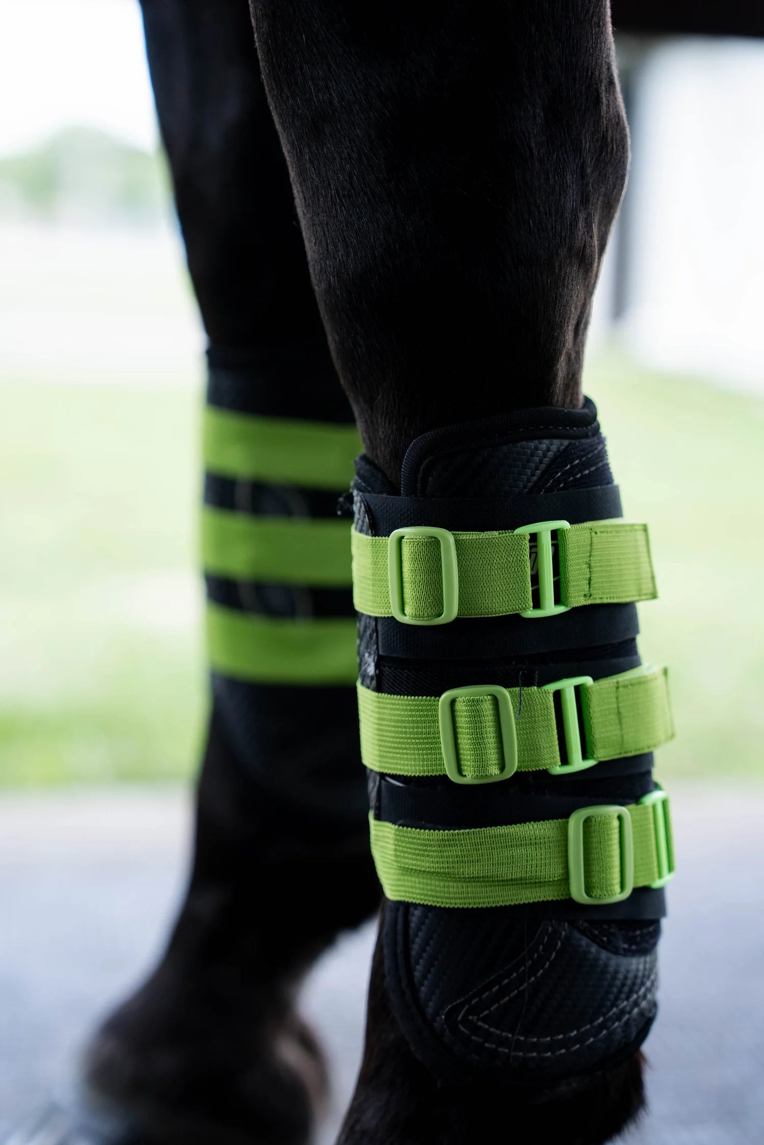 Sportflex Adjustable Straps