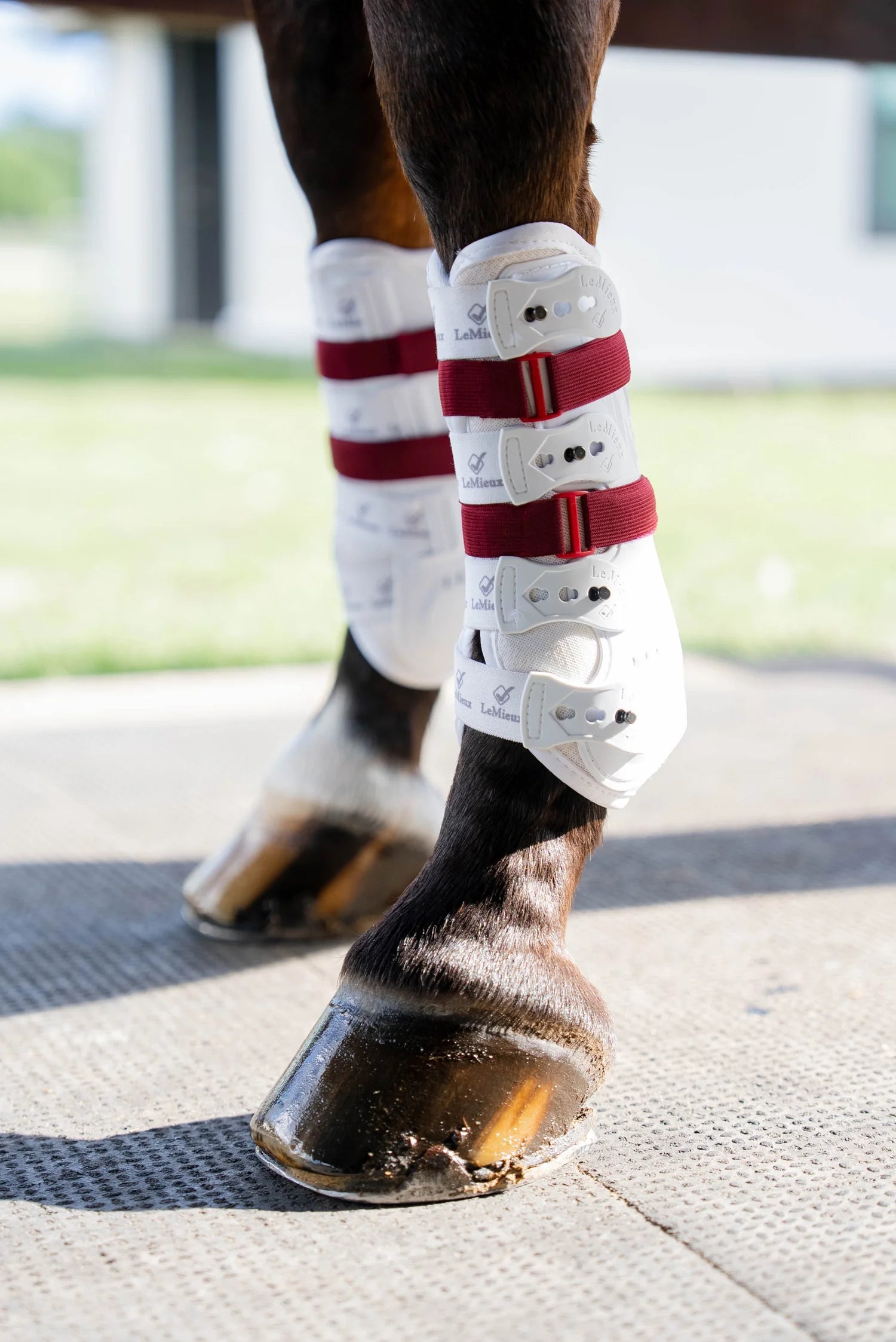 Sleekfit Adjustable Straps