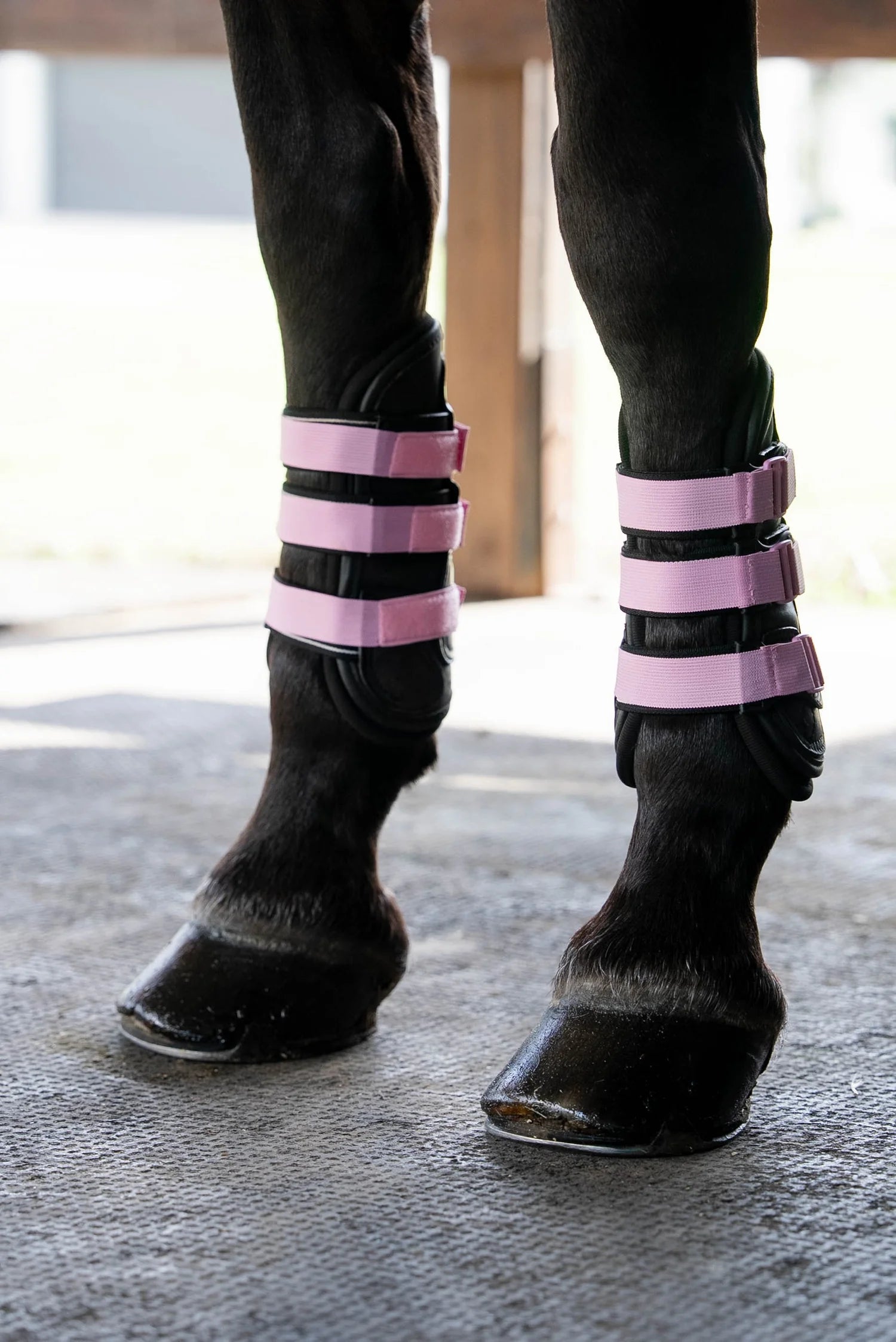 Sportflex Adjustable Straps