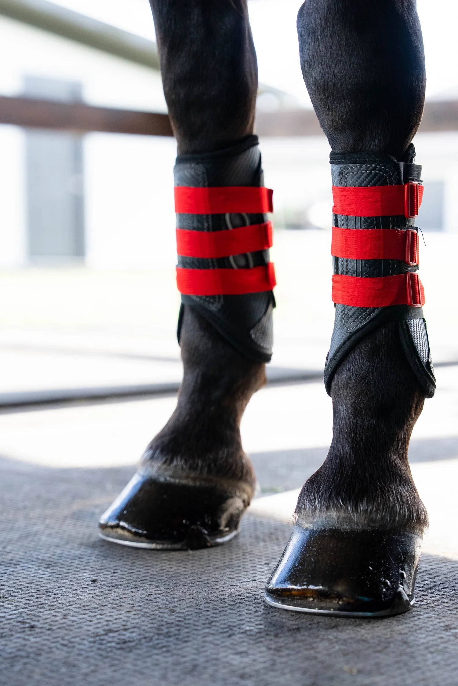 Sportflex Adjustable Straps