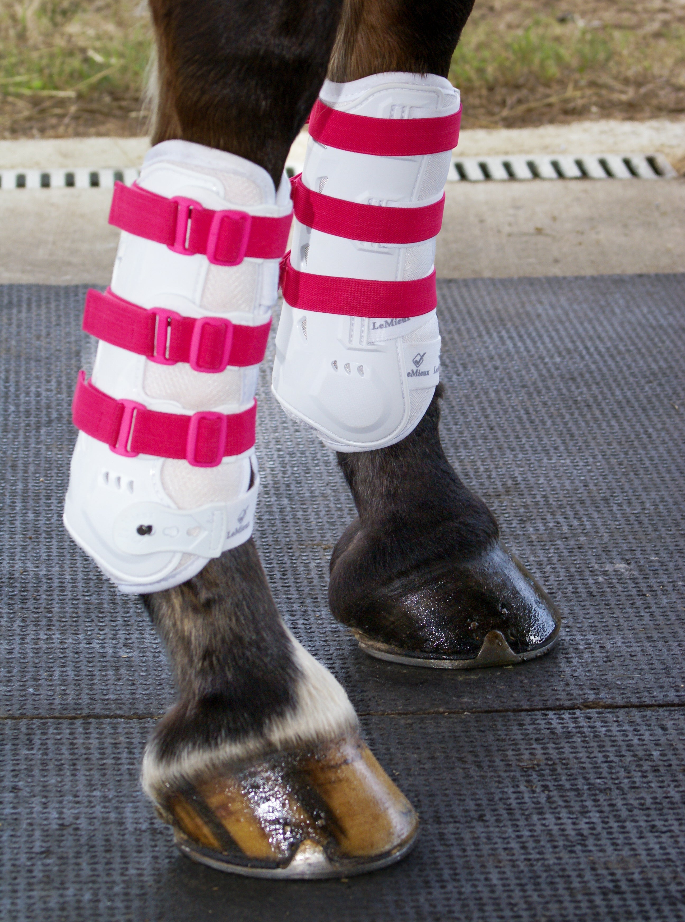 Sportflex Adjustable Straps