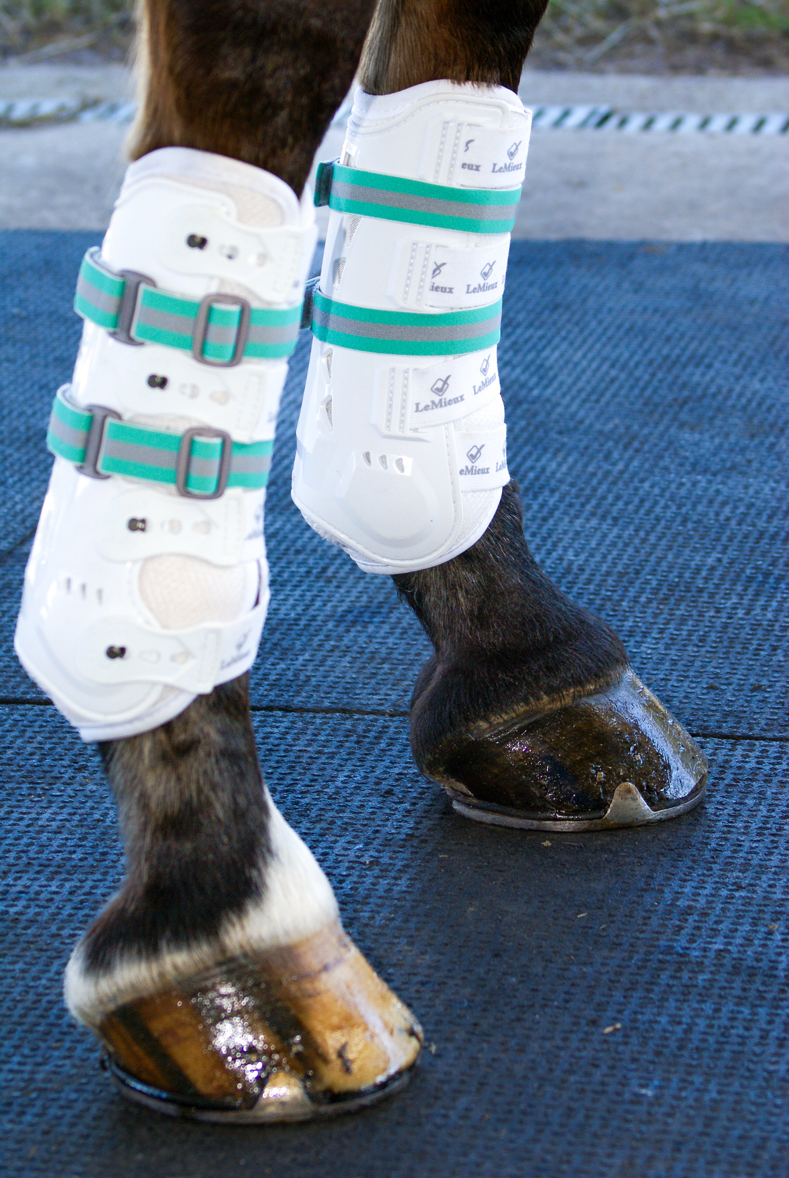 Sleekfit Adjustable Straps