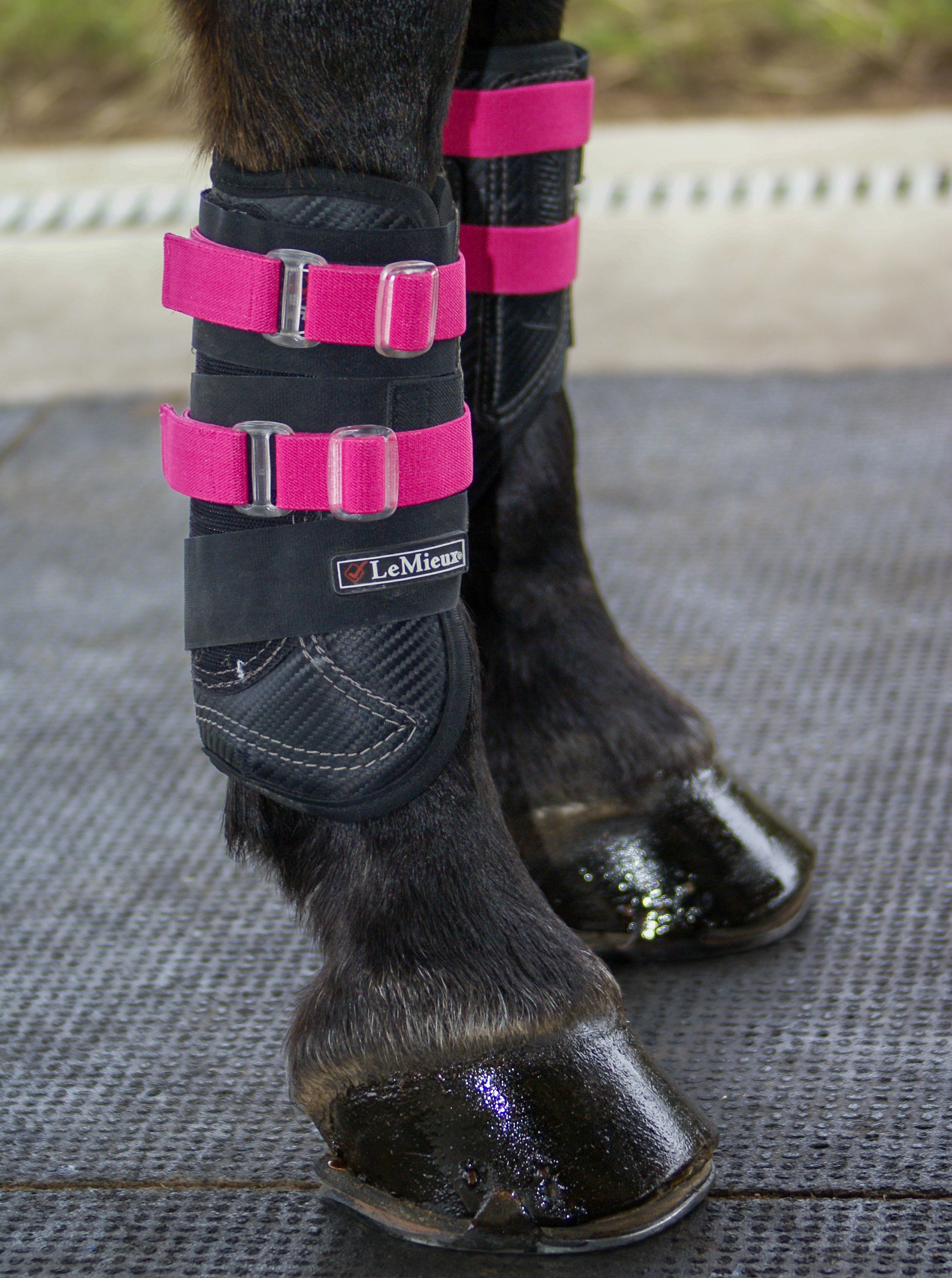 Sportflex Adjustable Straps