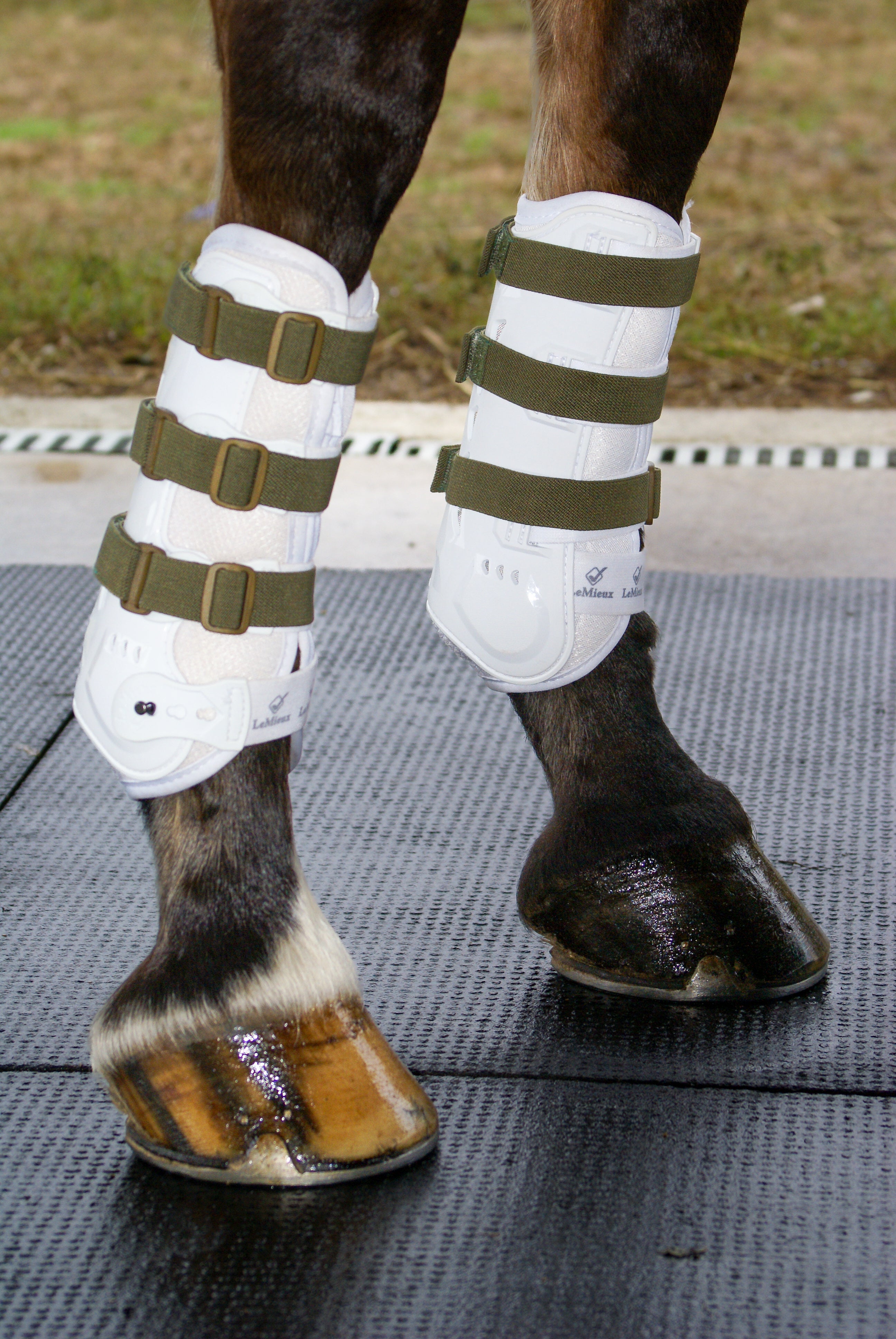 Sleekfit Adjustable Straps