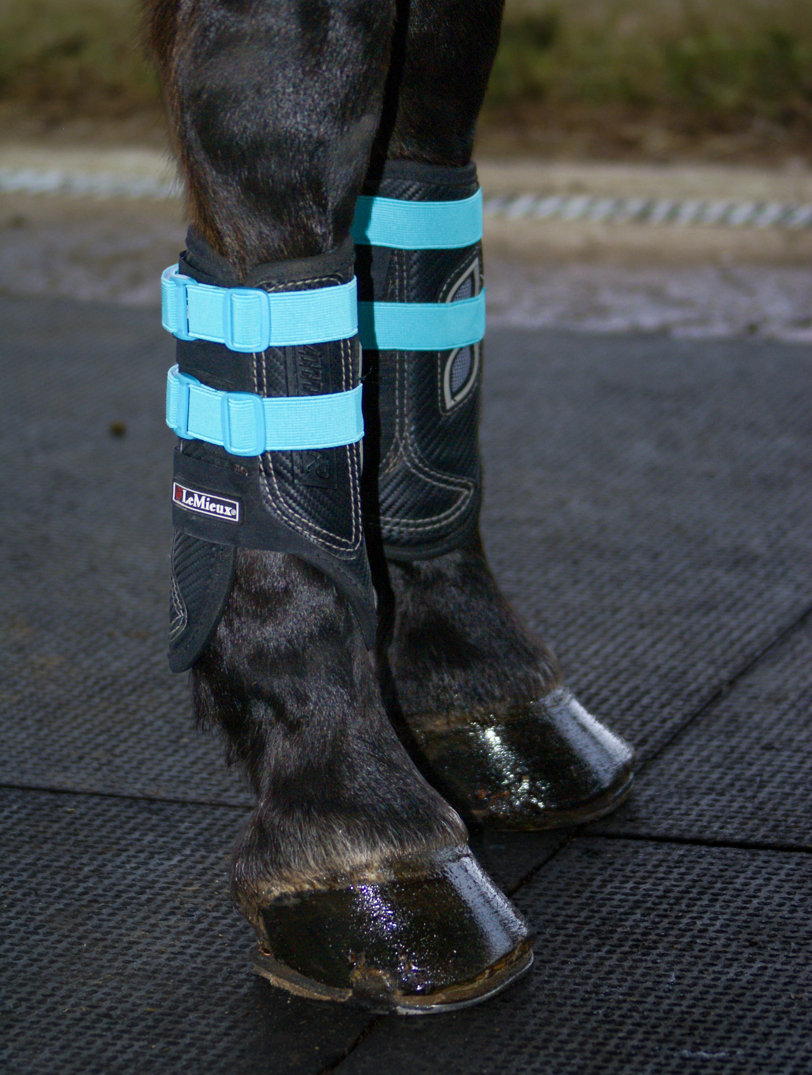 Sportflex Adjustable Straps