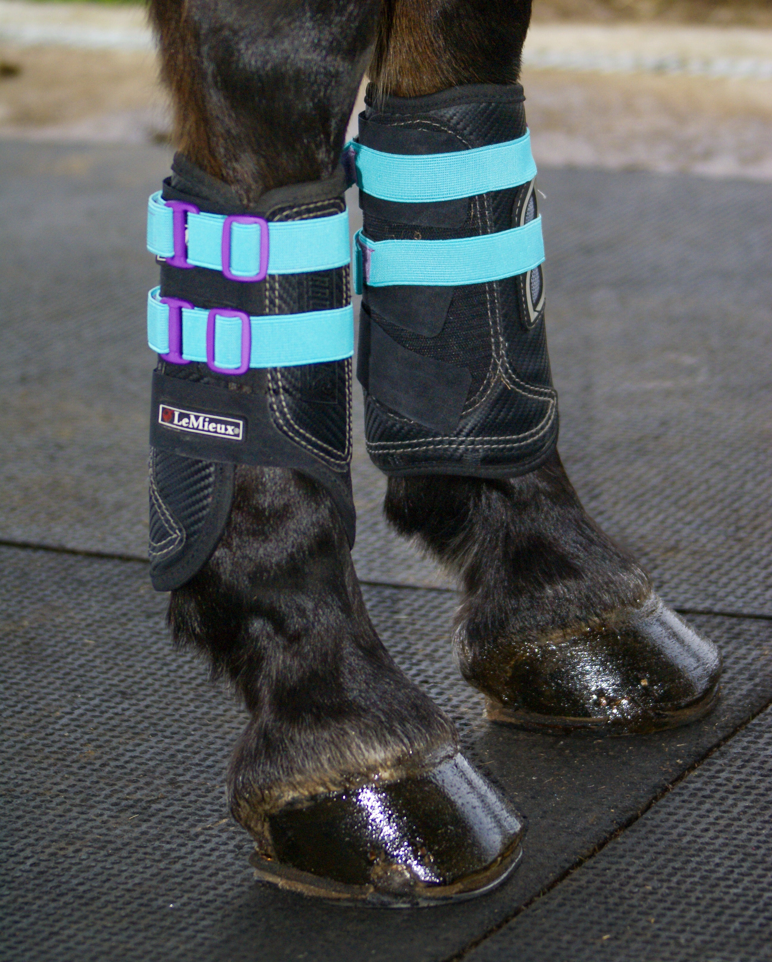 Custom Elastic Straps (6 Pack)