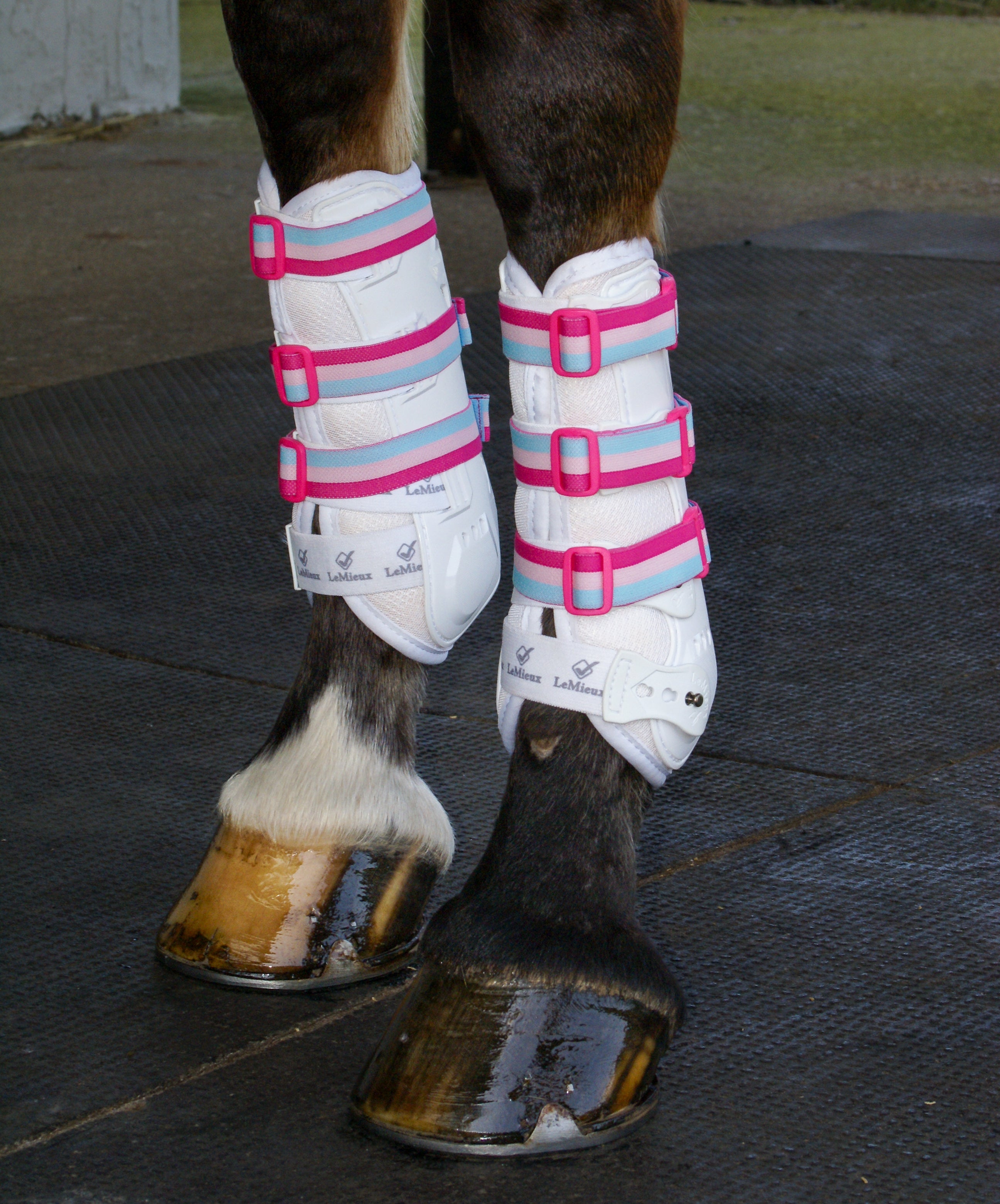 Sportflex Adjustable Straps