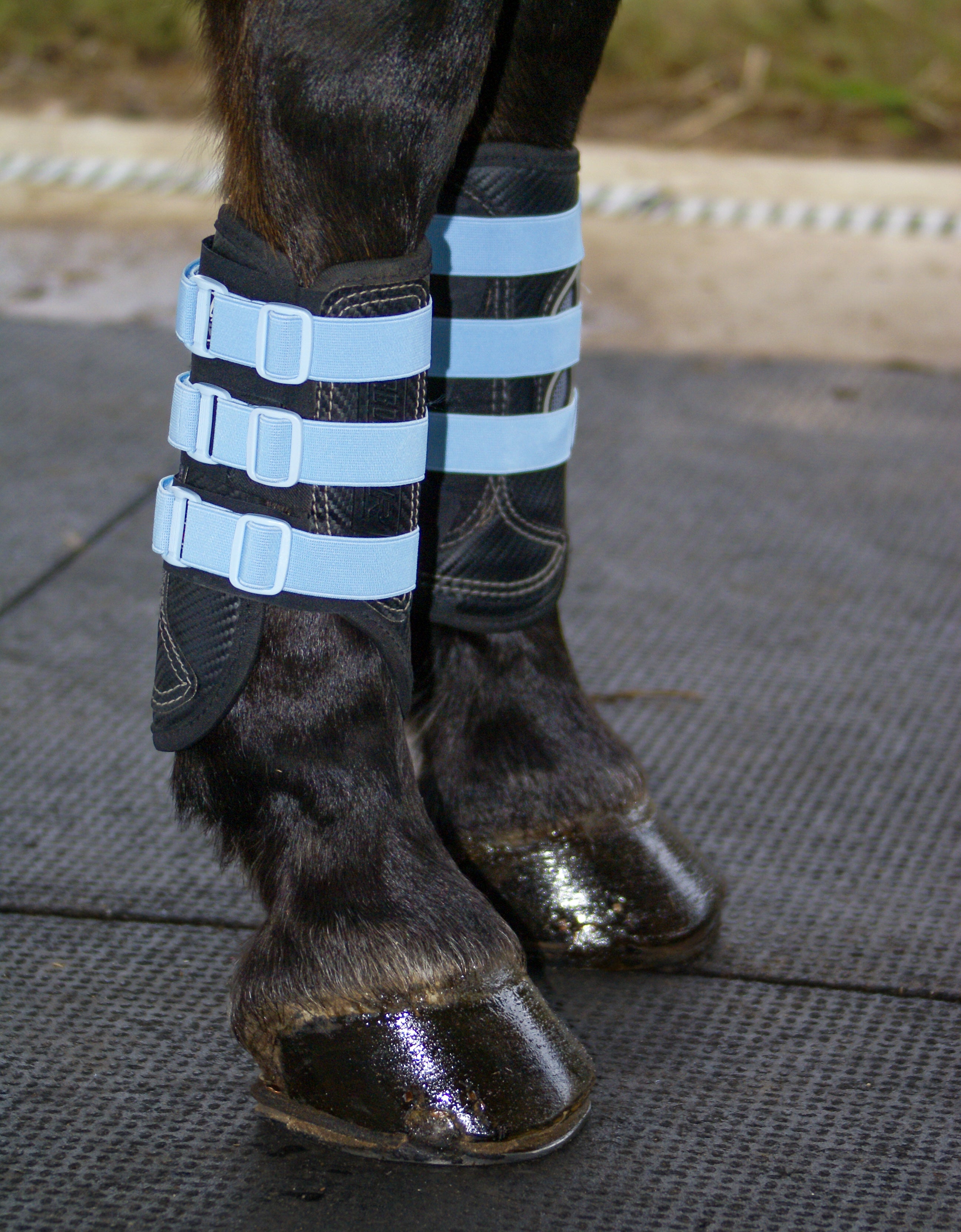 Sportflex Adjustable Straps