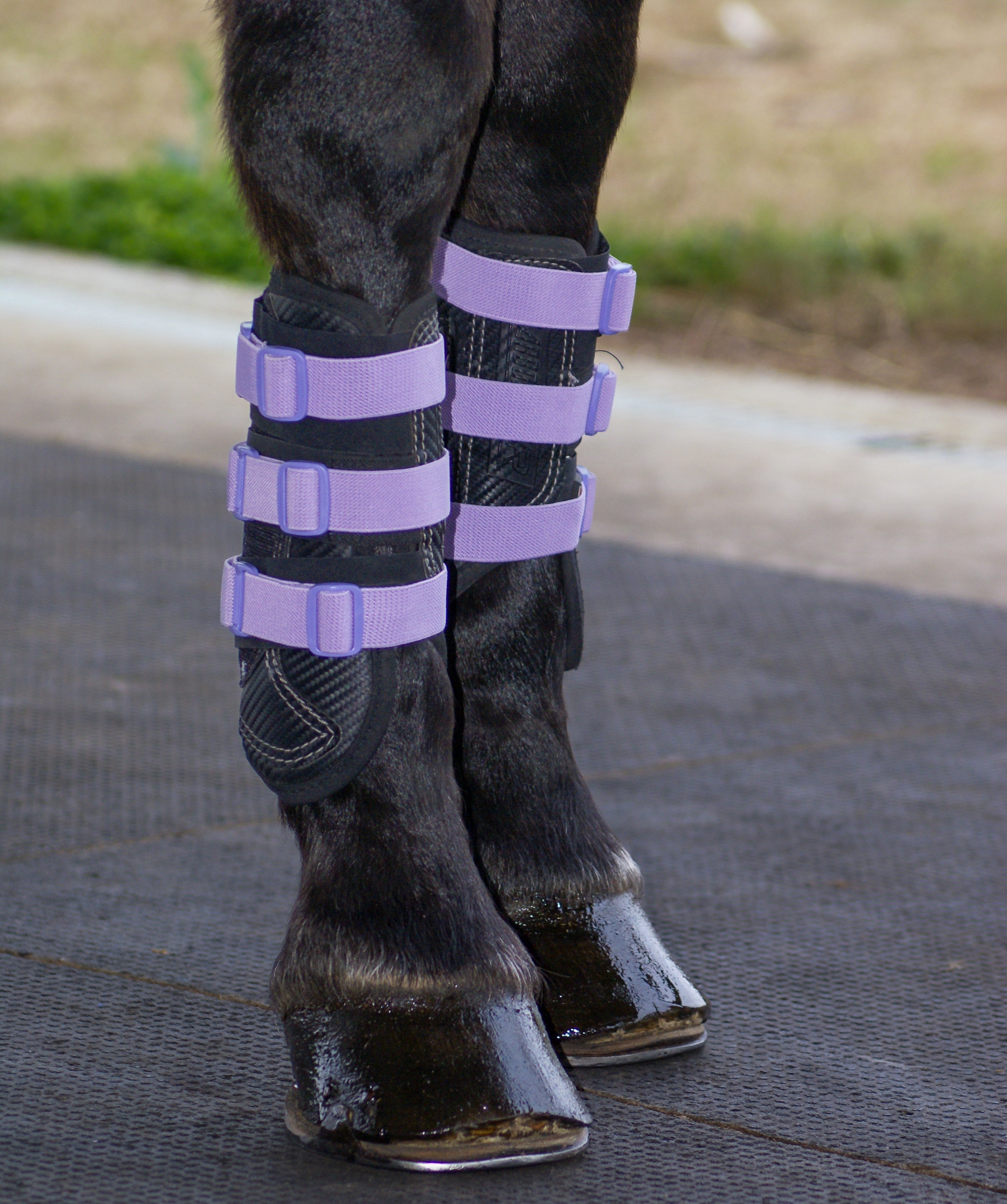 Sportflex Adjustable Straps