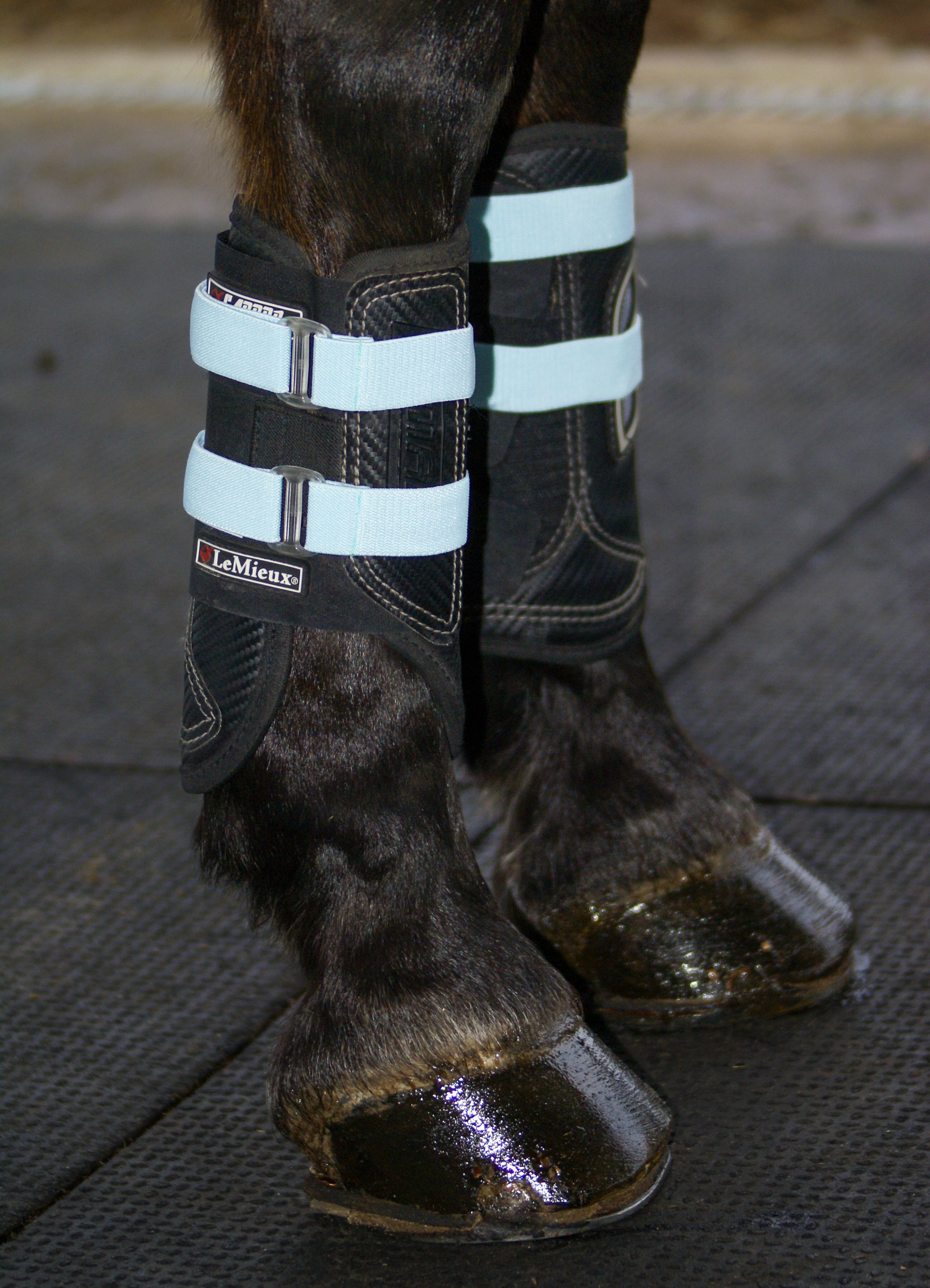 Sleekfit Adjustable Straps