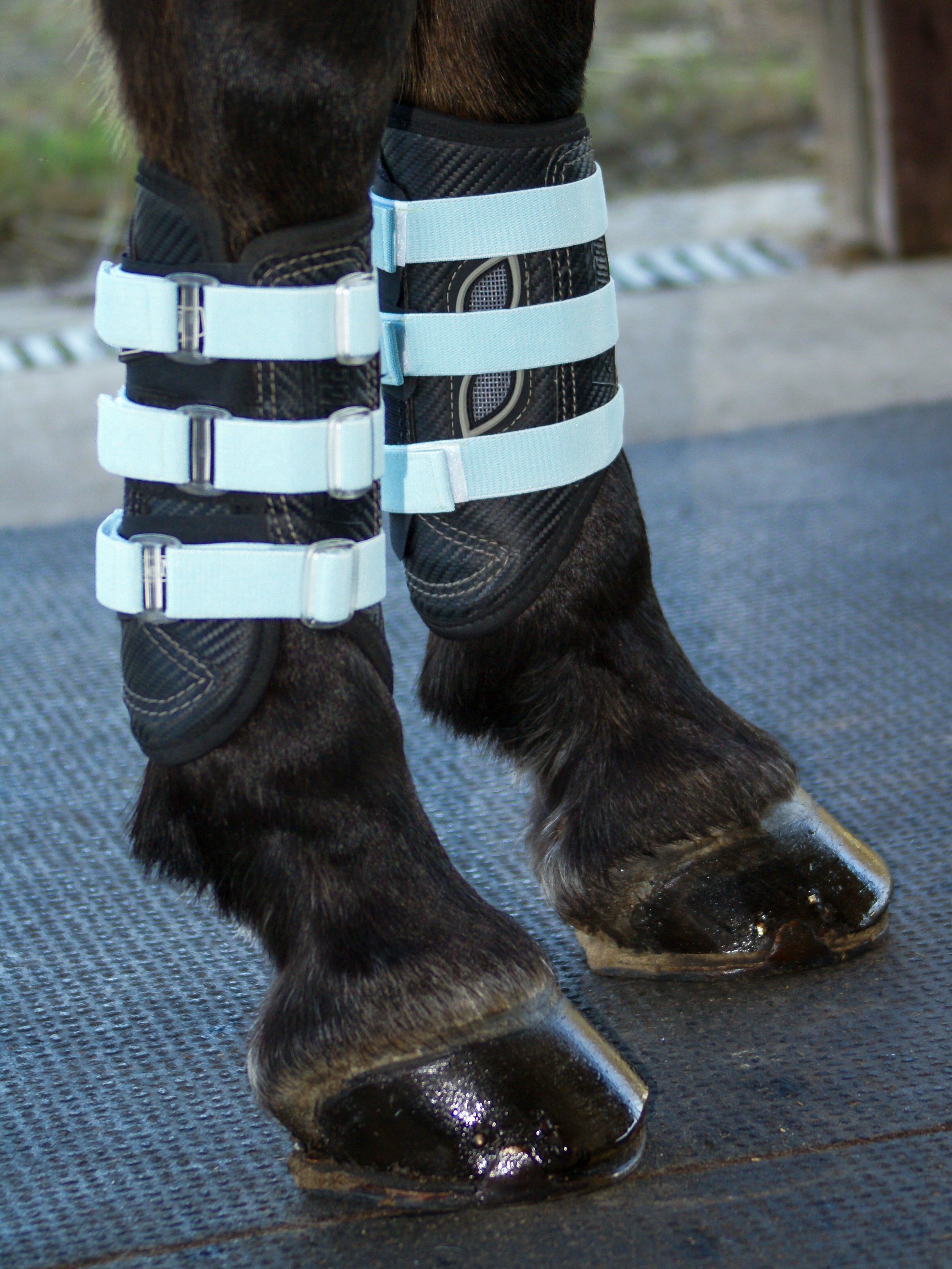 Sportflex Adjustable Straps