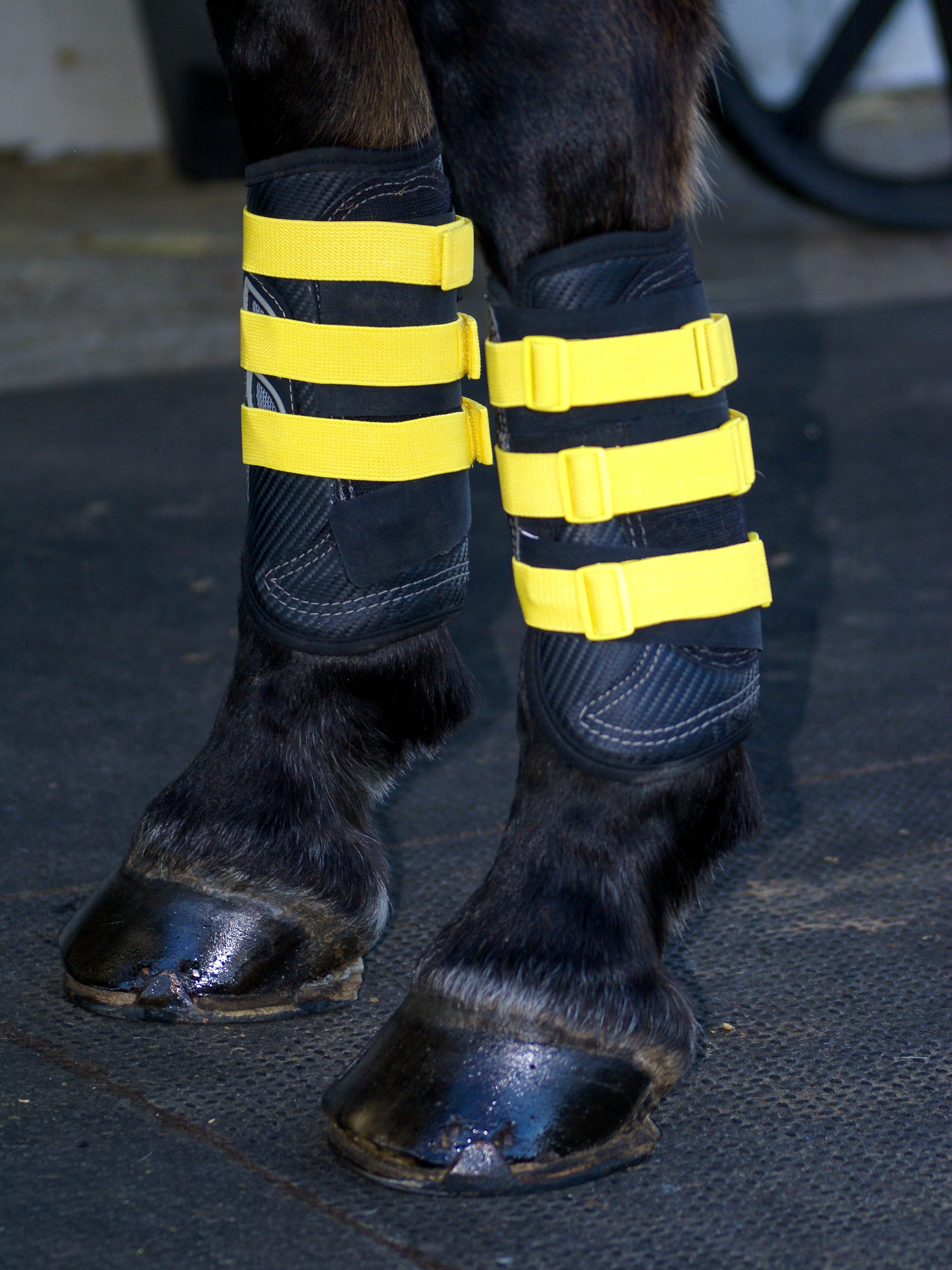 Sleekfit Adjustable Straps