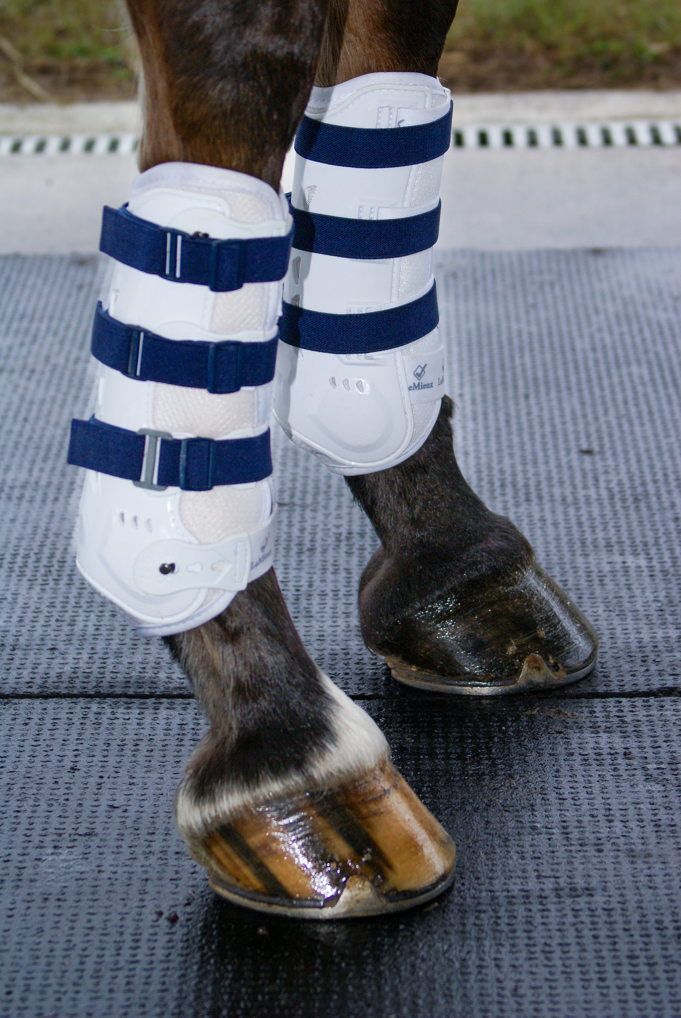 Sportflex Adjustable Straps