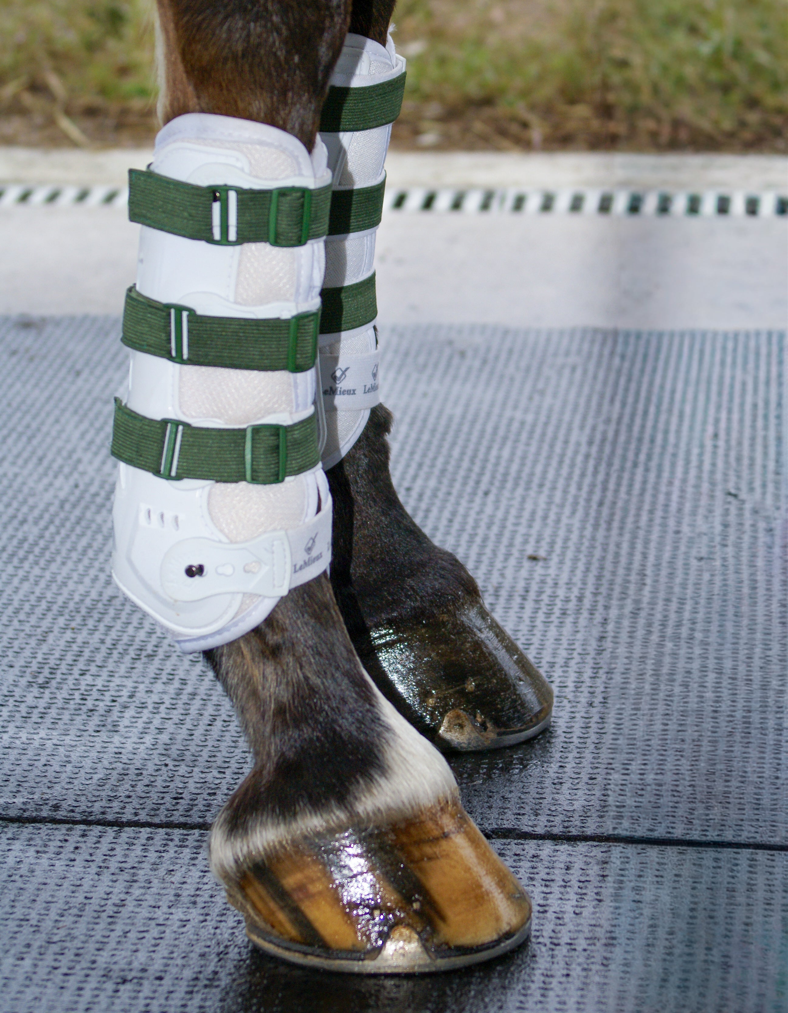 Sportflex Adjustable Straps