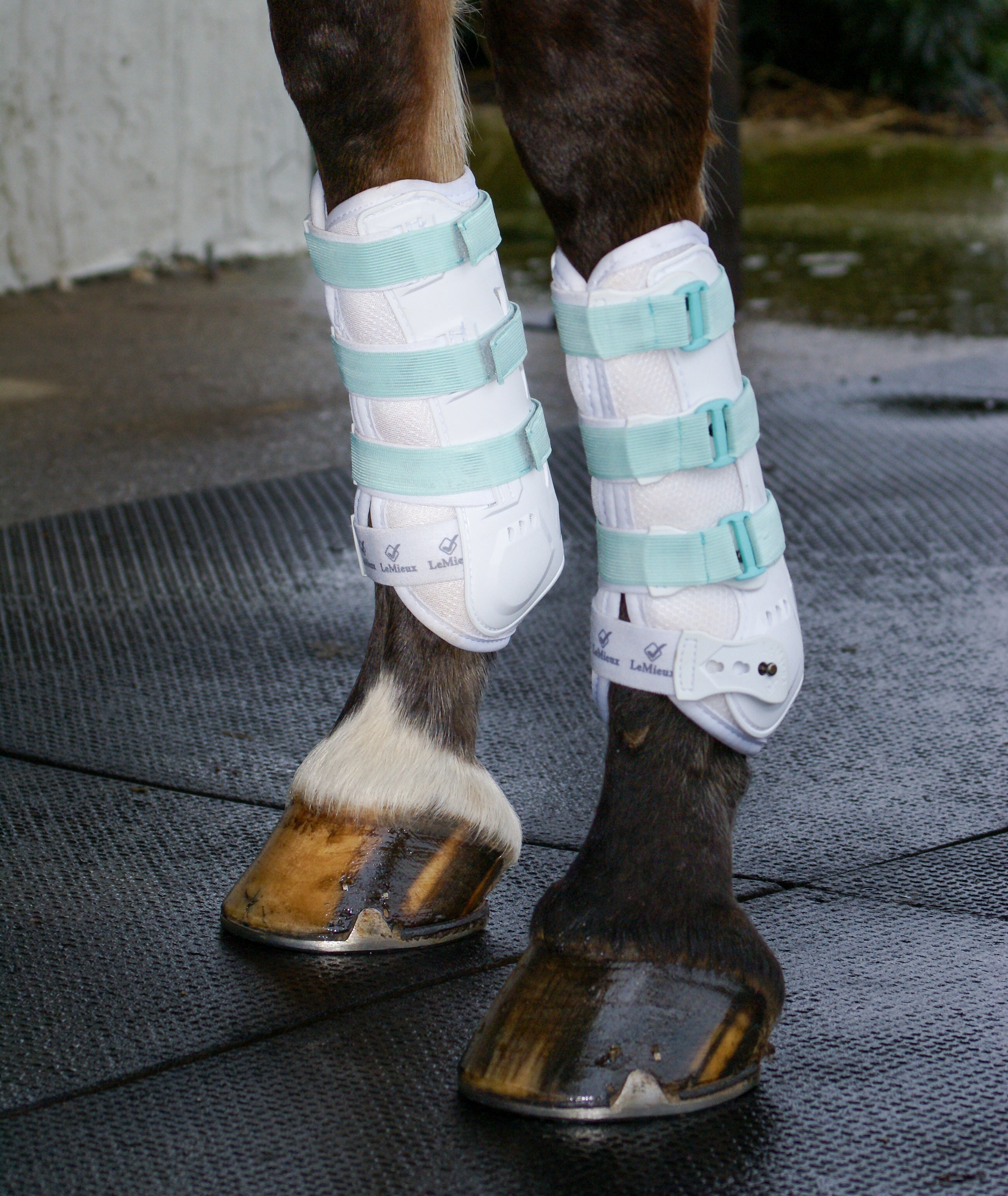 Sleekfit Adjustable Straps