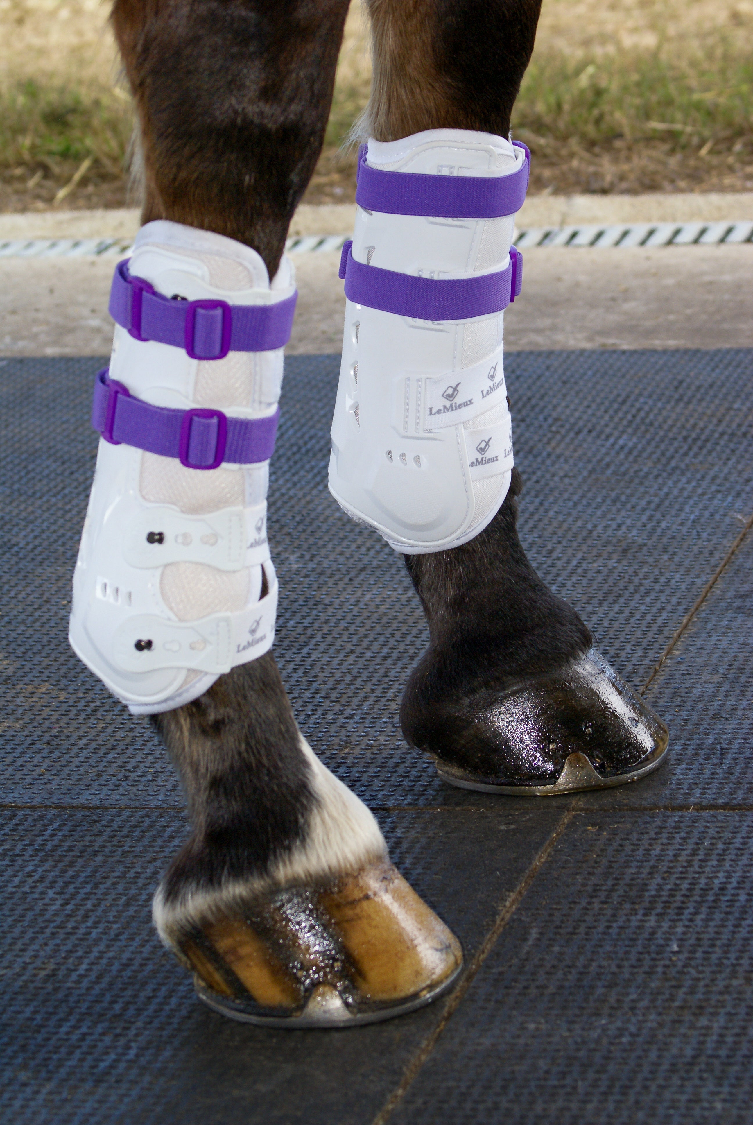 Sportflex Adjustable Straps