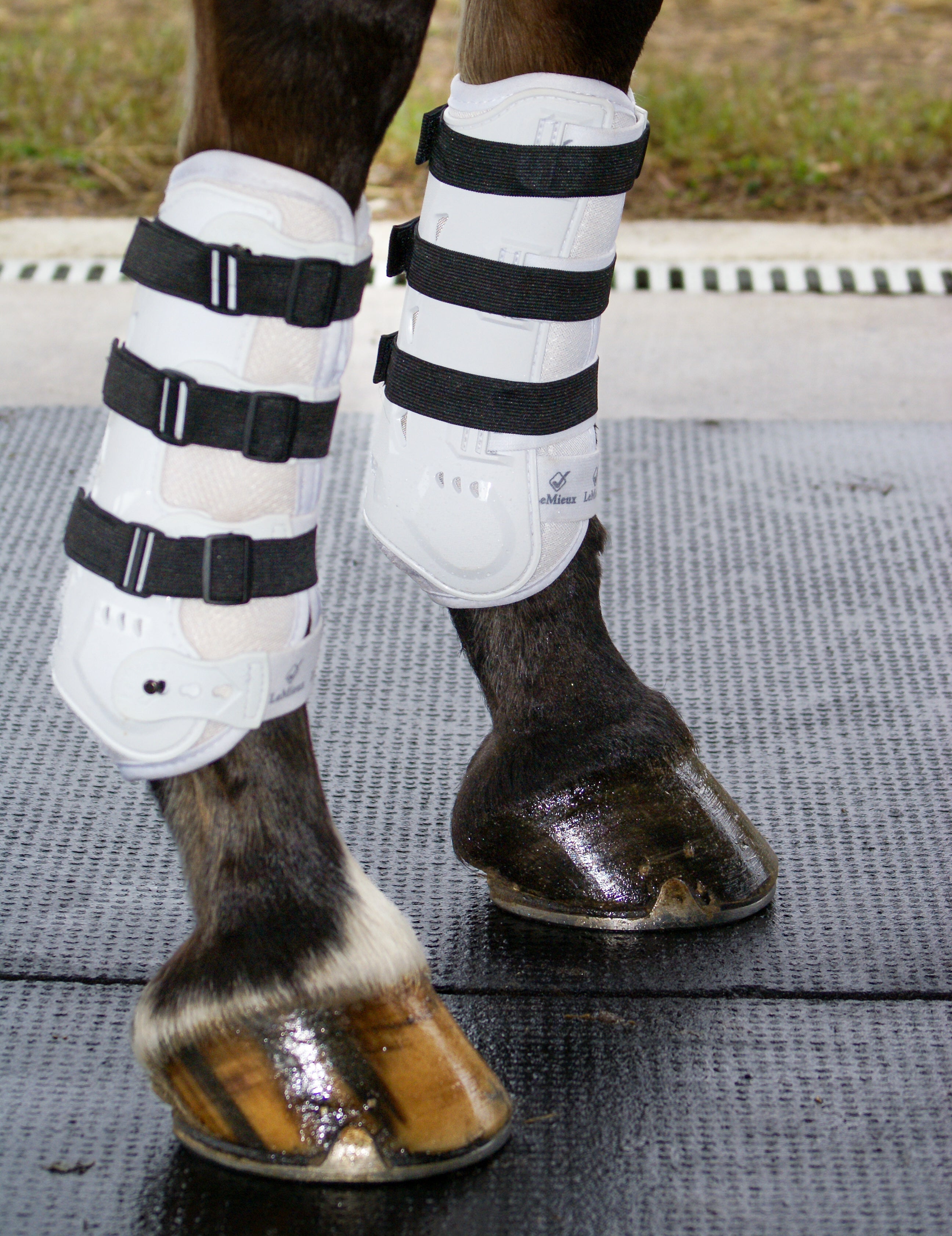 Sportflex Adjustable Straps