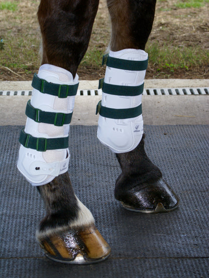 Sportflex Adjustable Straps