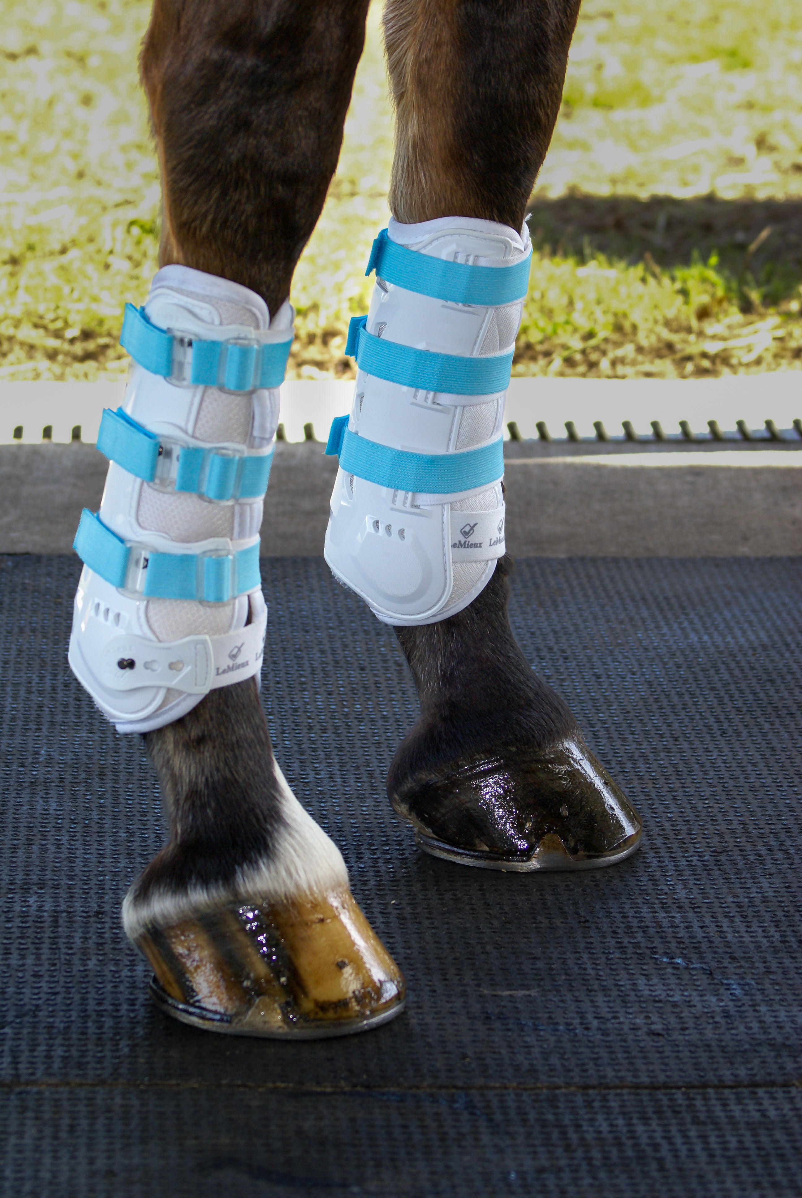 Sportflex Adjustable Straps