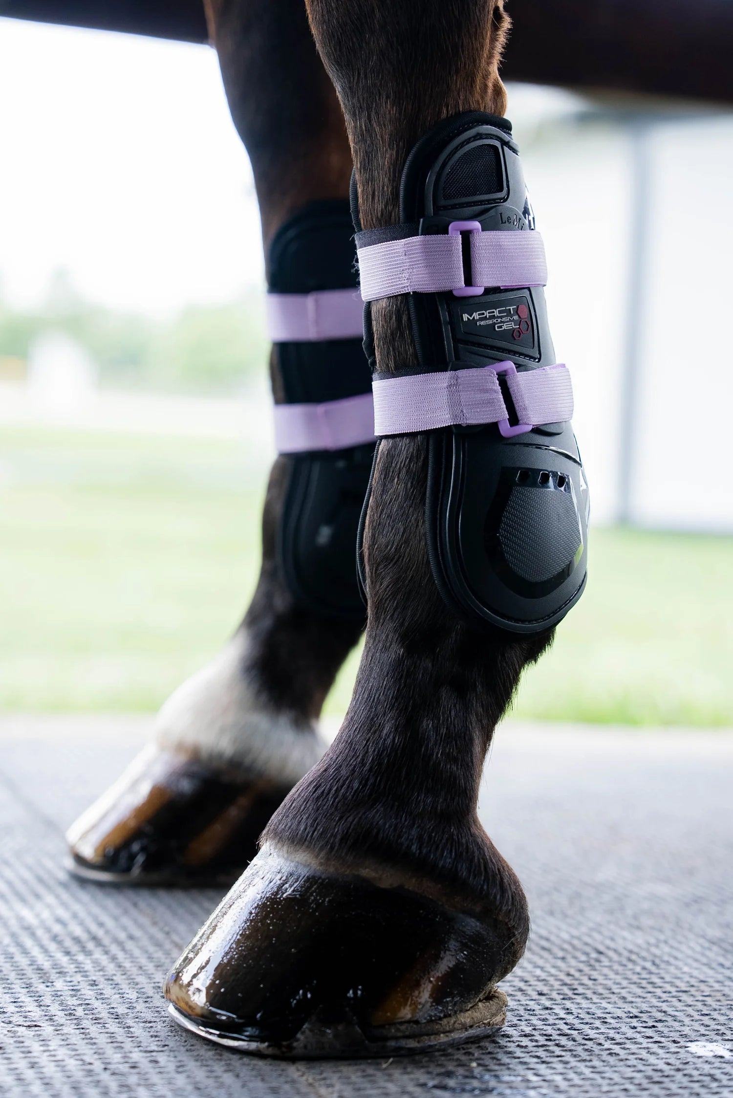 Sportflex Adjustable Straps