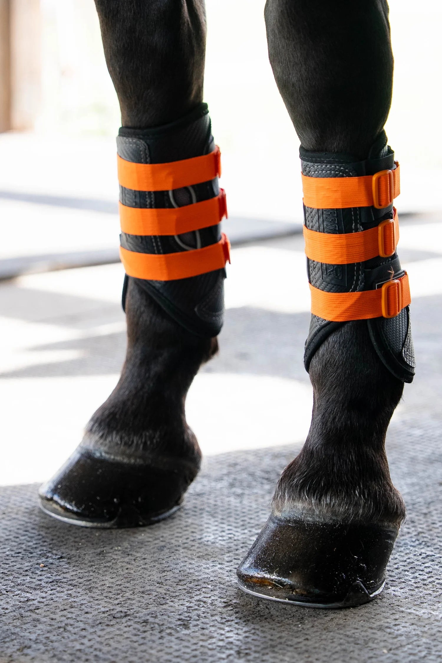 Sportflex Adjustable Straps