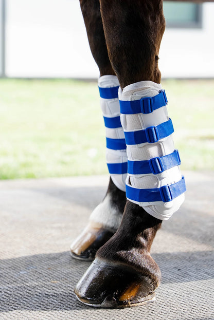 Sportflex Adjustable Straps